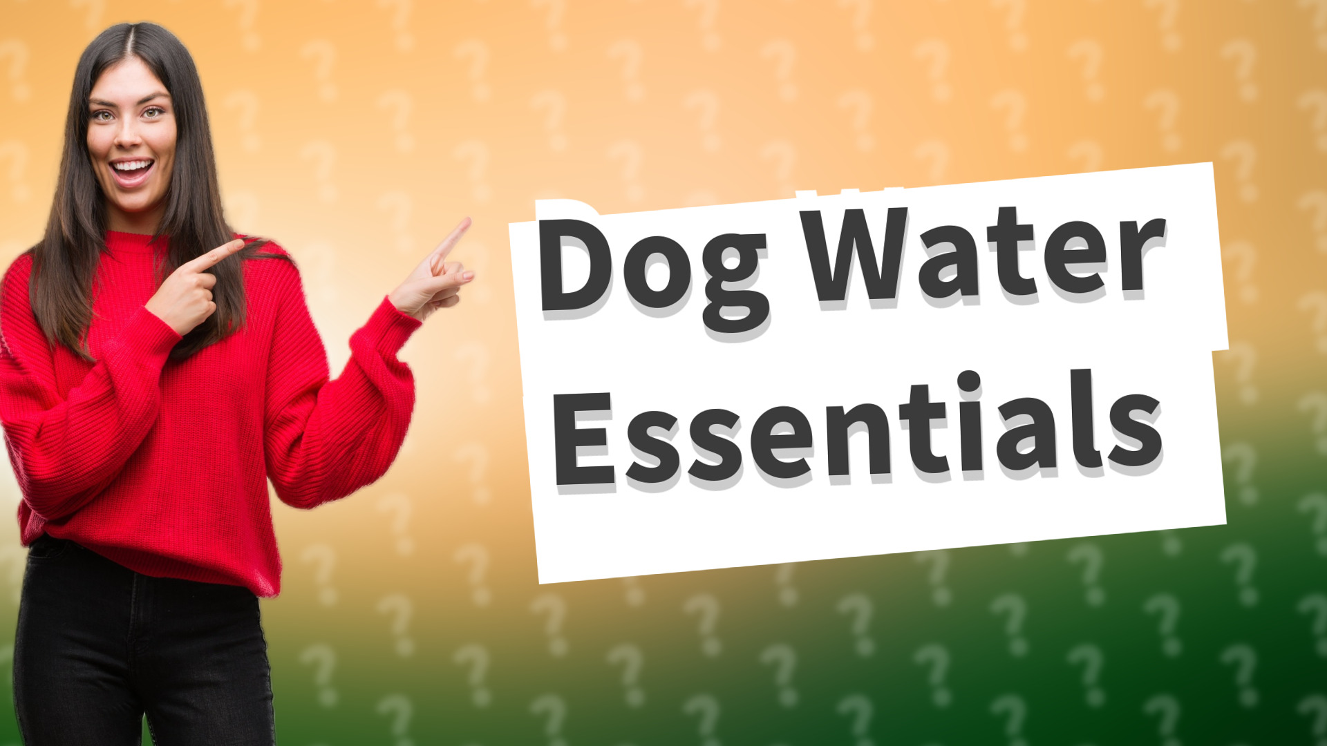 Dog Water Essentials