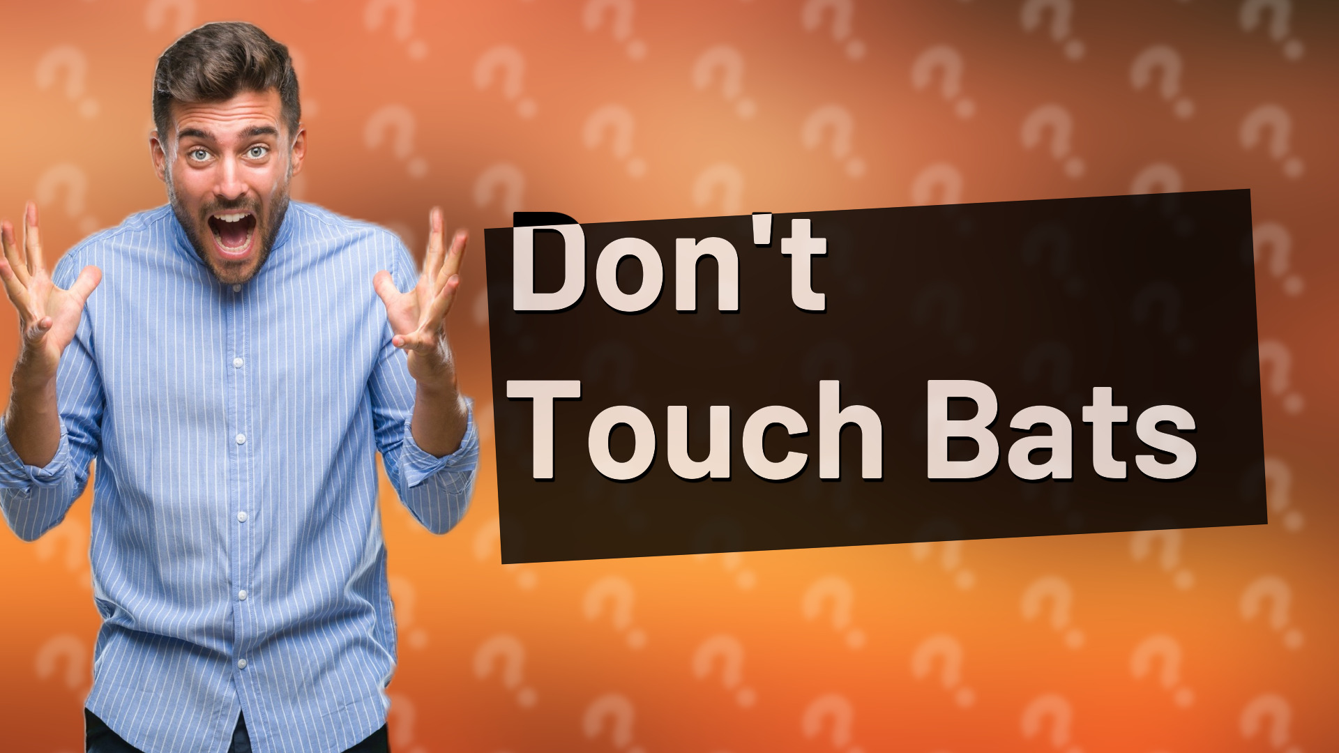 Don't Touch Bats
