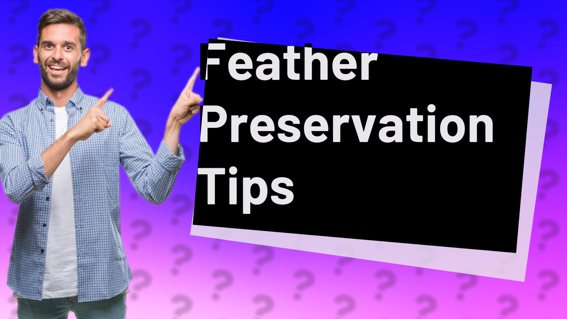 Feather Preservation Tips