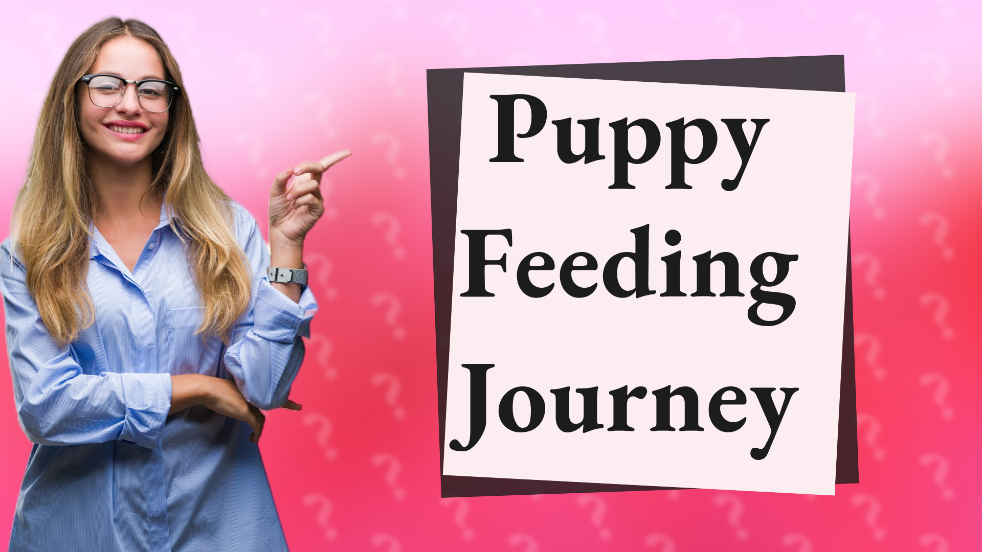 Puppy Feeding Journey