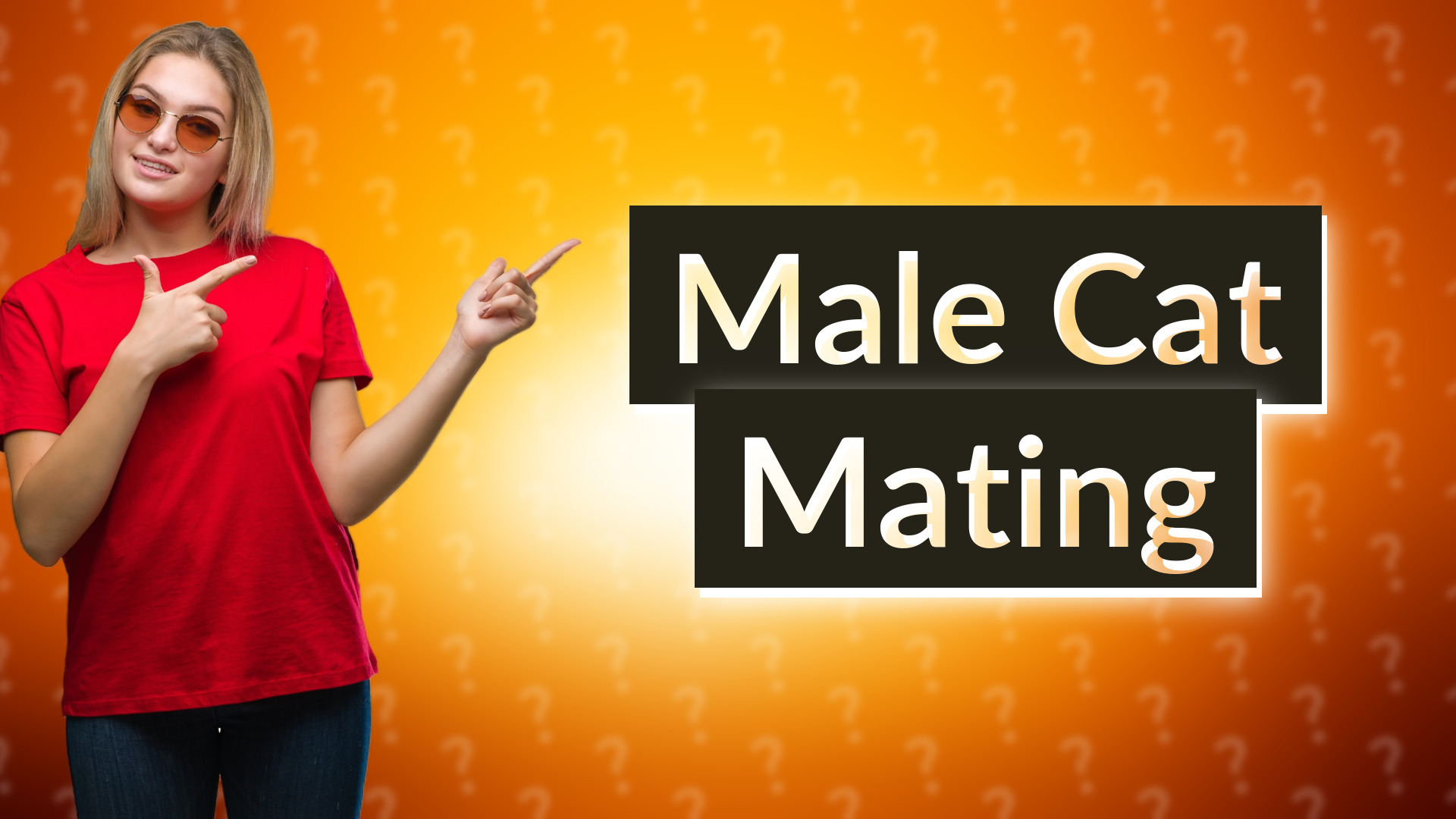 Male Cat Mating