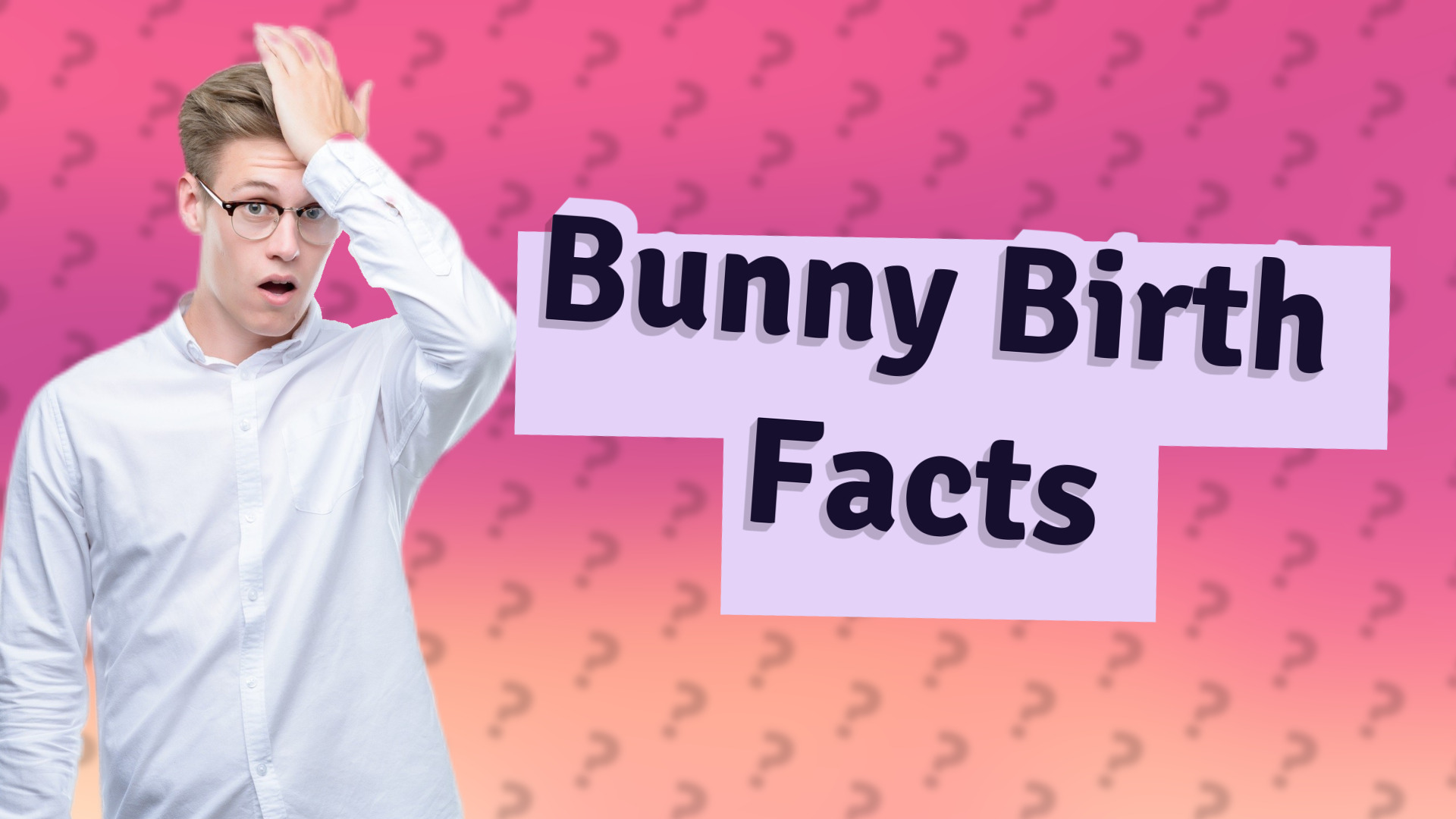 Bunny Birth Facts