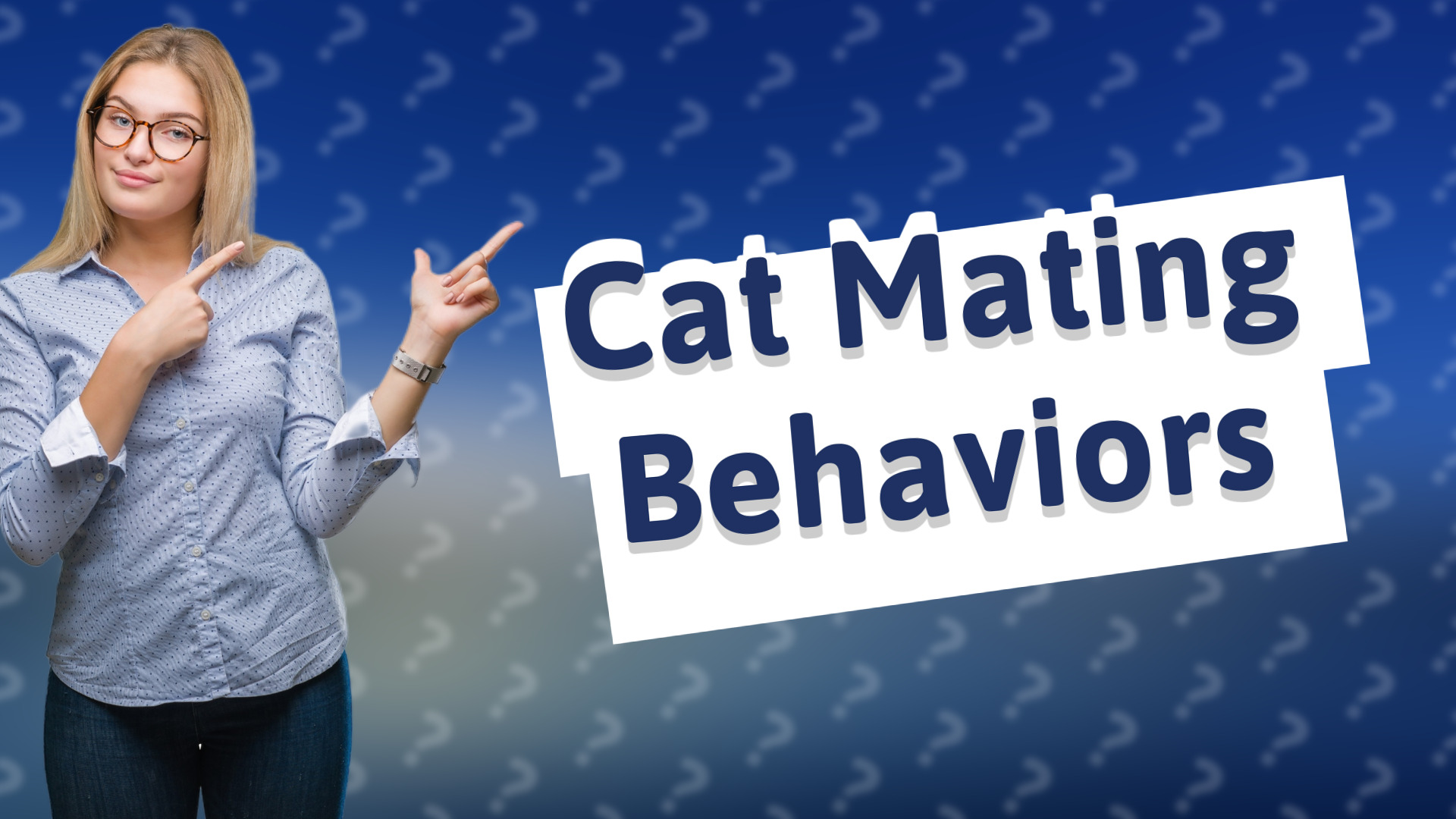 Cat Mating Behaviors