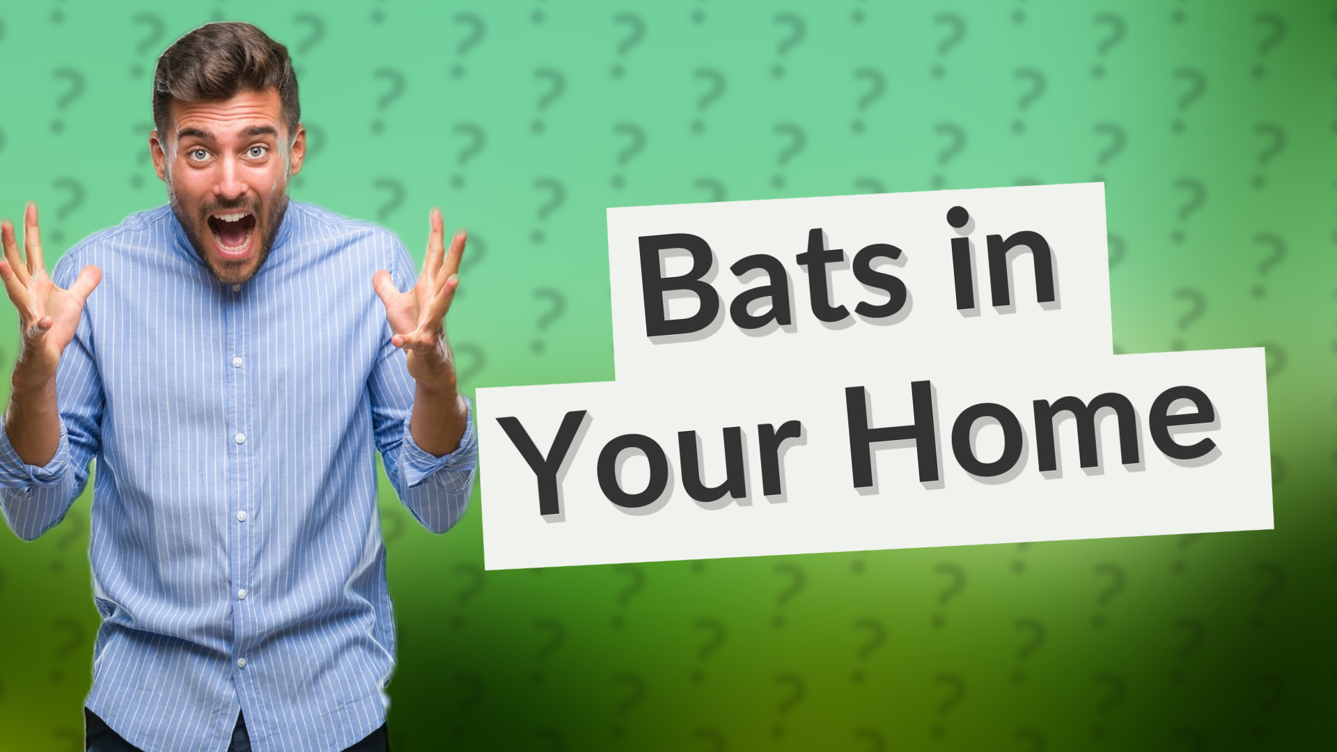 Bats in Your Home