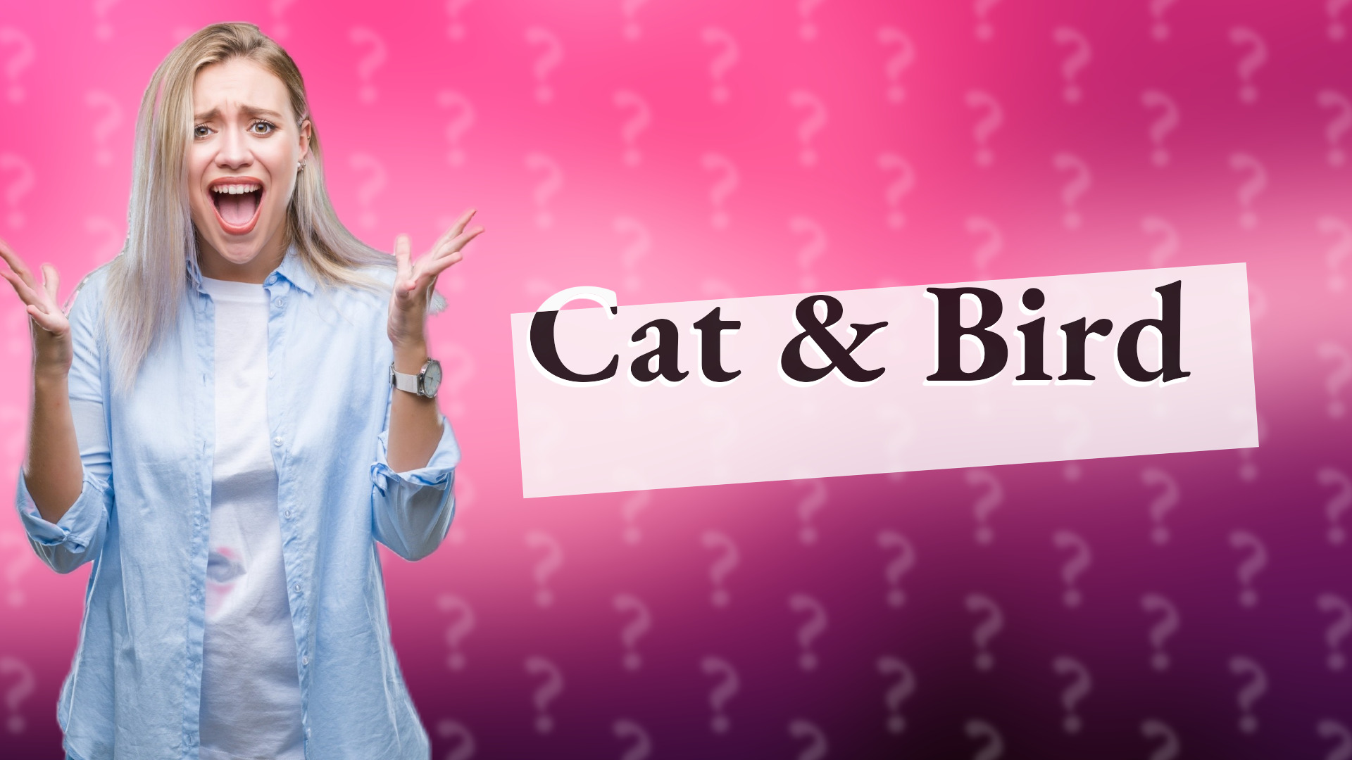 Cat & Bird