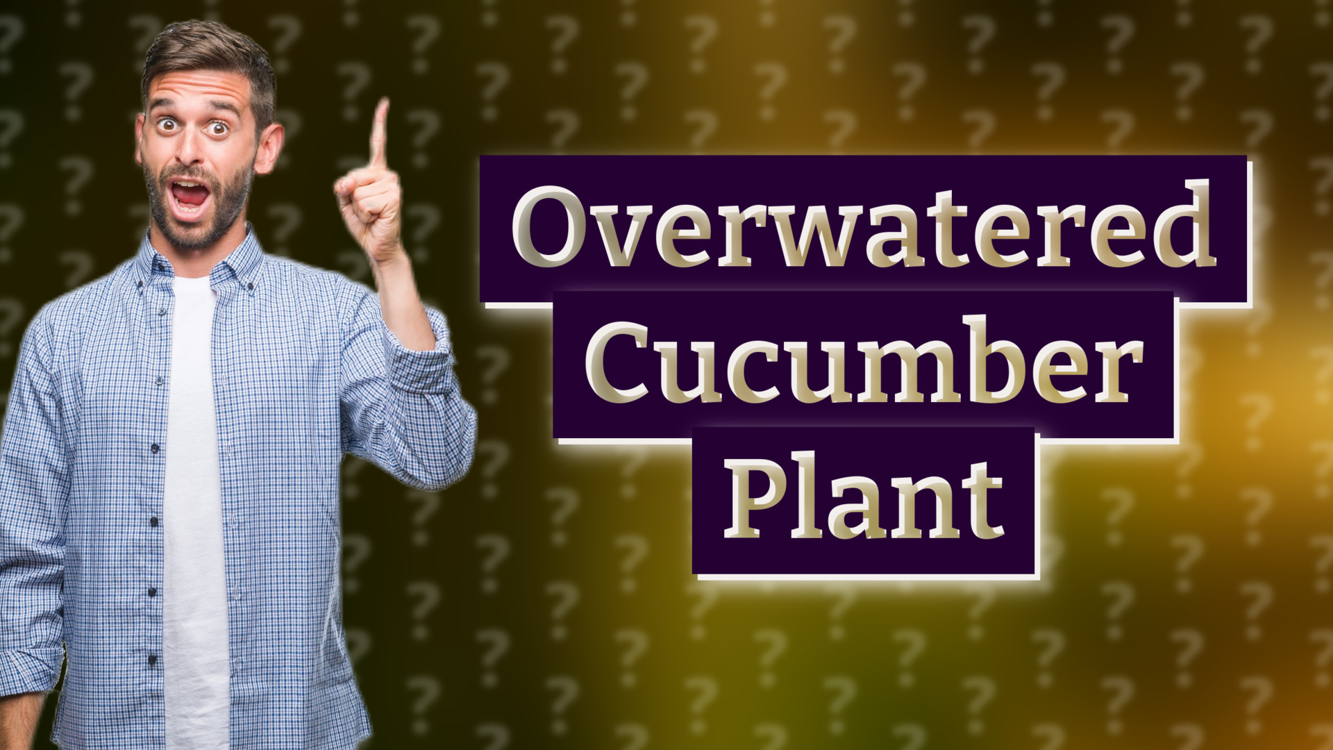 Overwatered Cucumber Plant