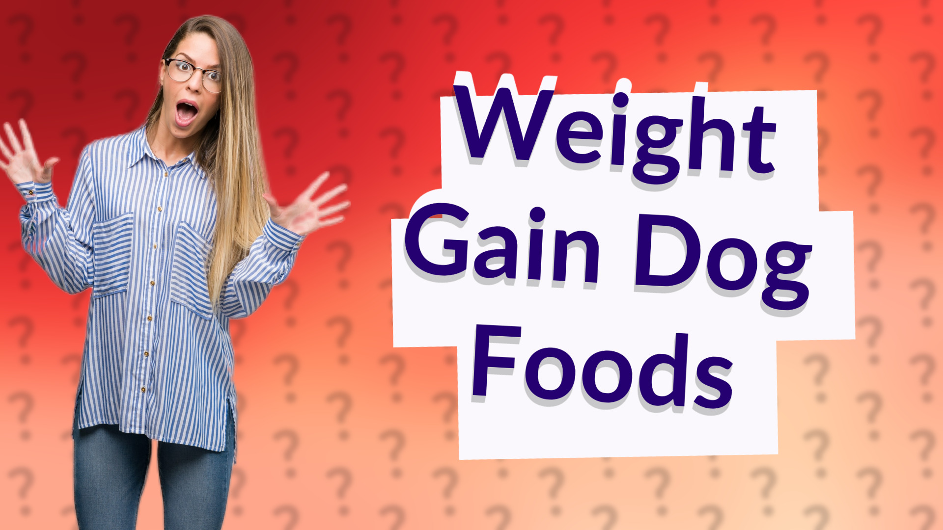 Weight Gain Dog Foods