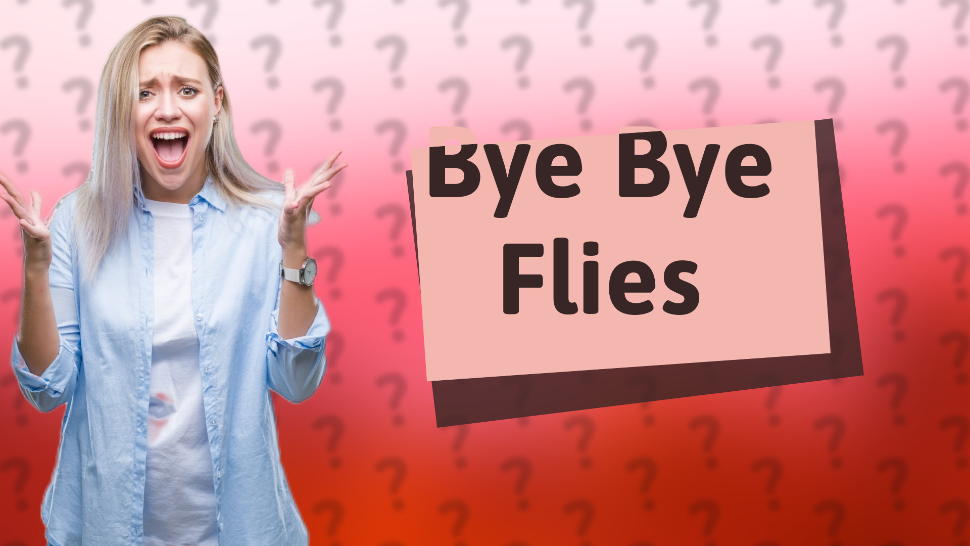 Bye Bye Flies
