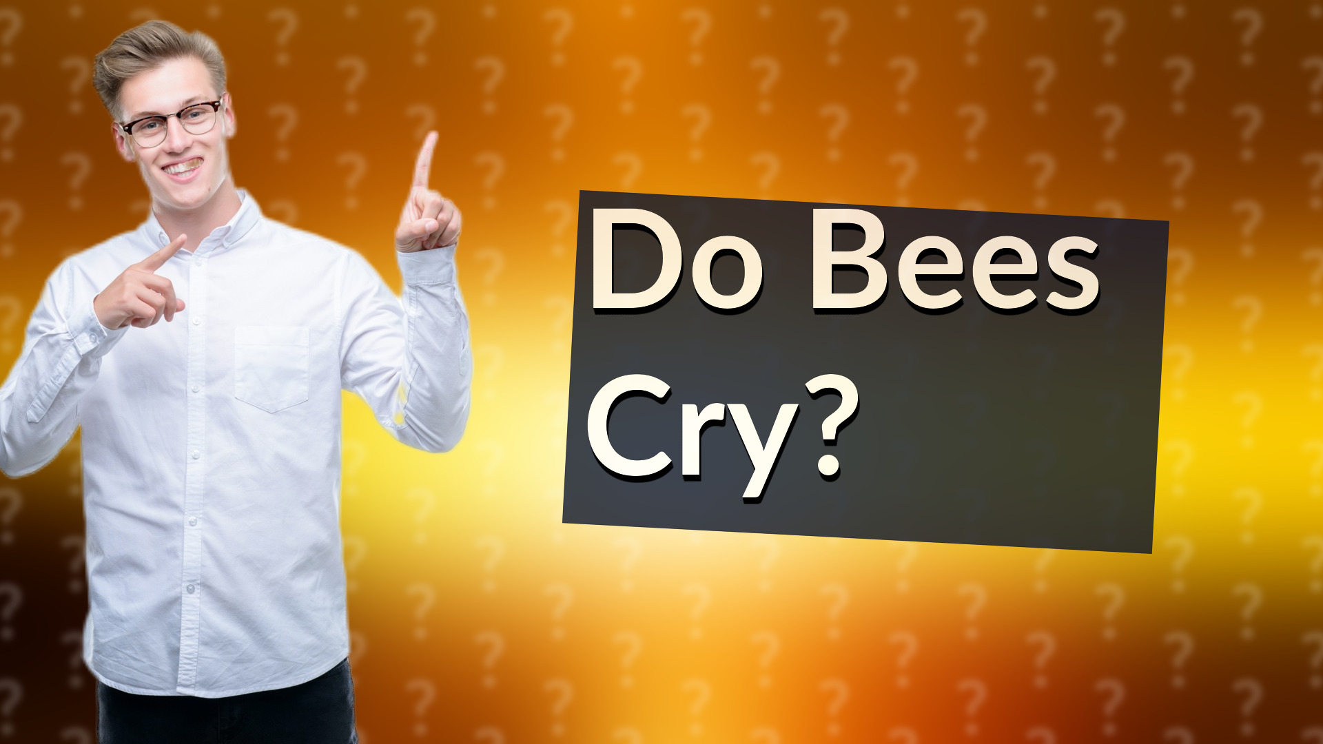 Do Bees Cry?