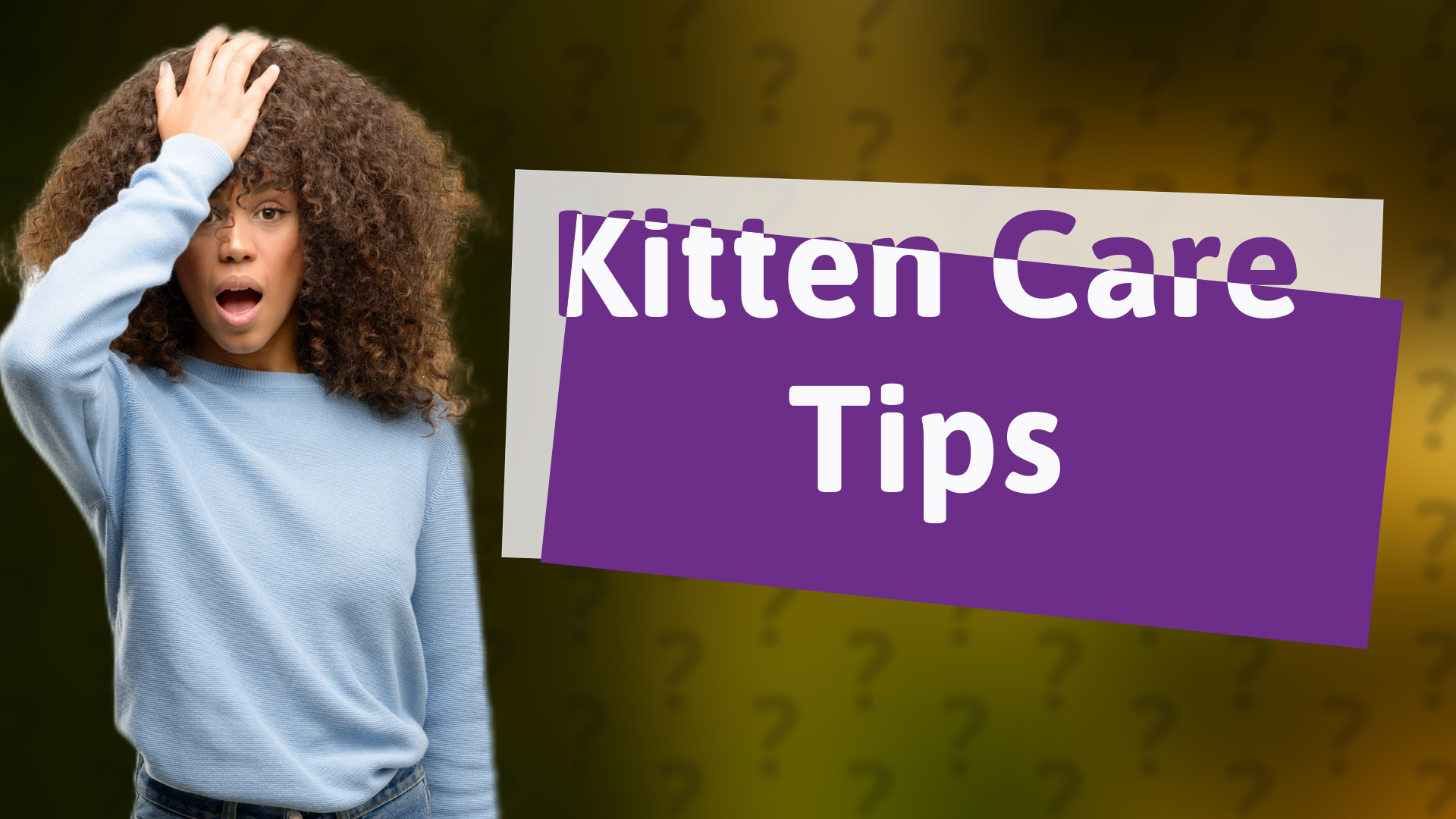 Kitten Care Tips