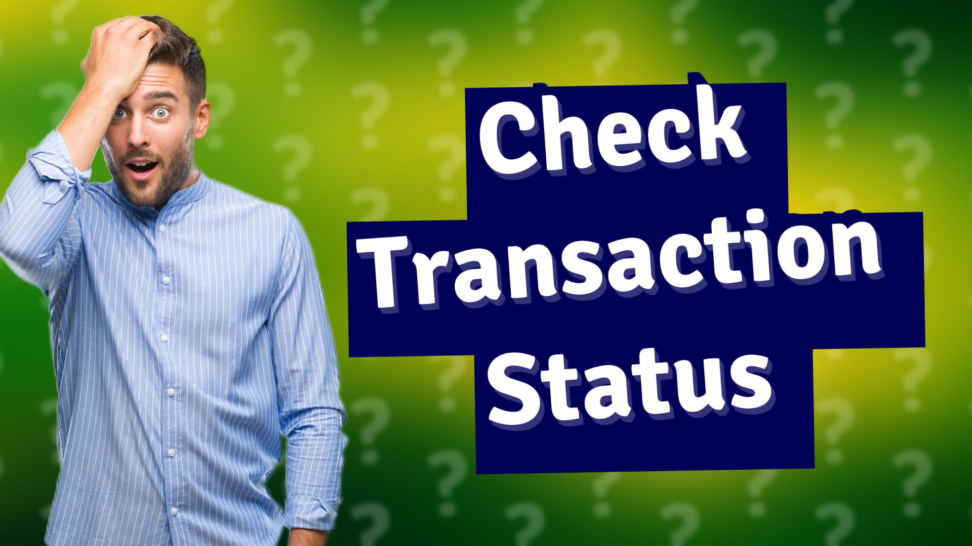 Check Transaction Status