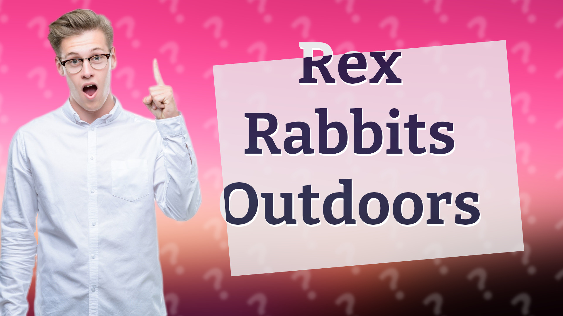 Rex Rabbits Outdoors