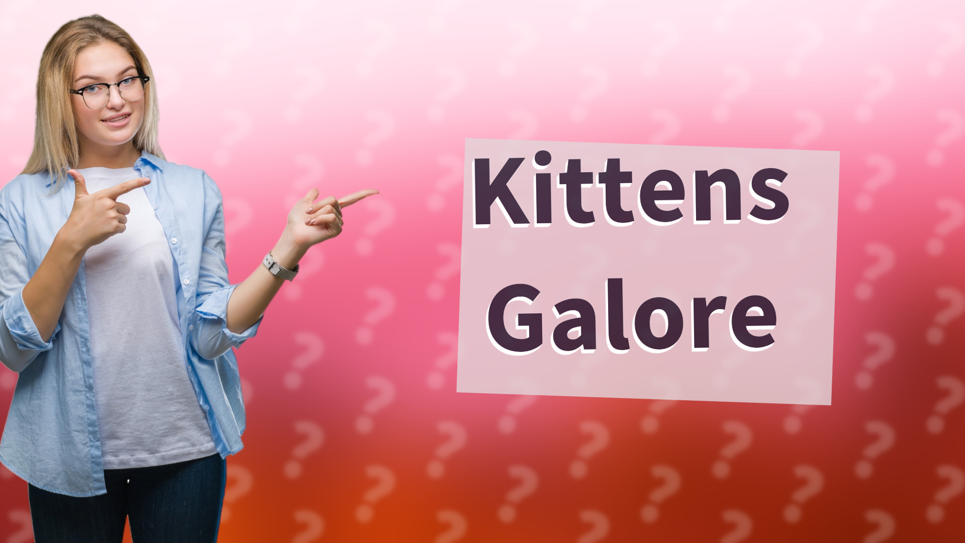 Kittens Galore
