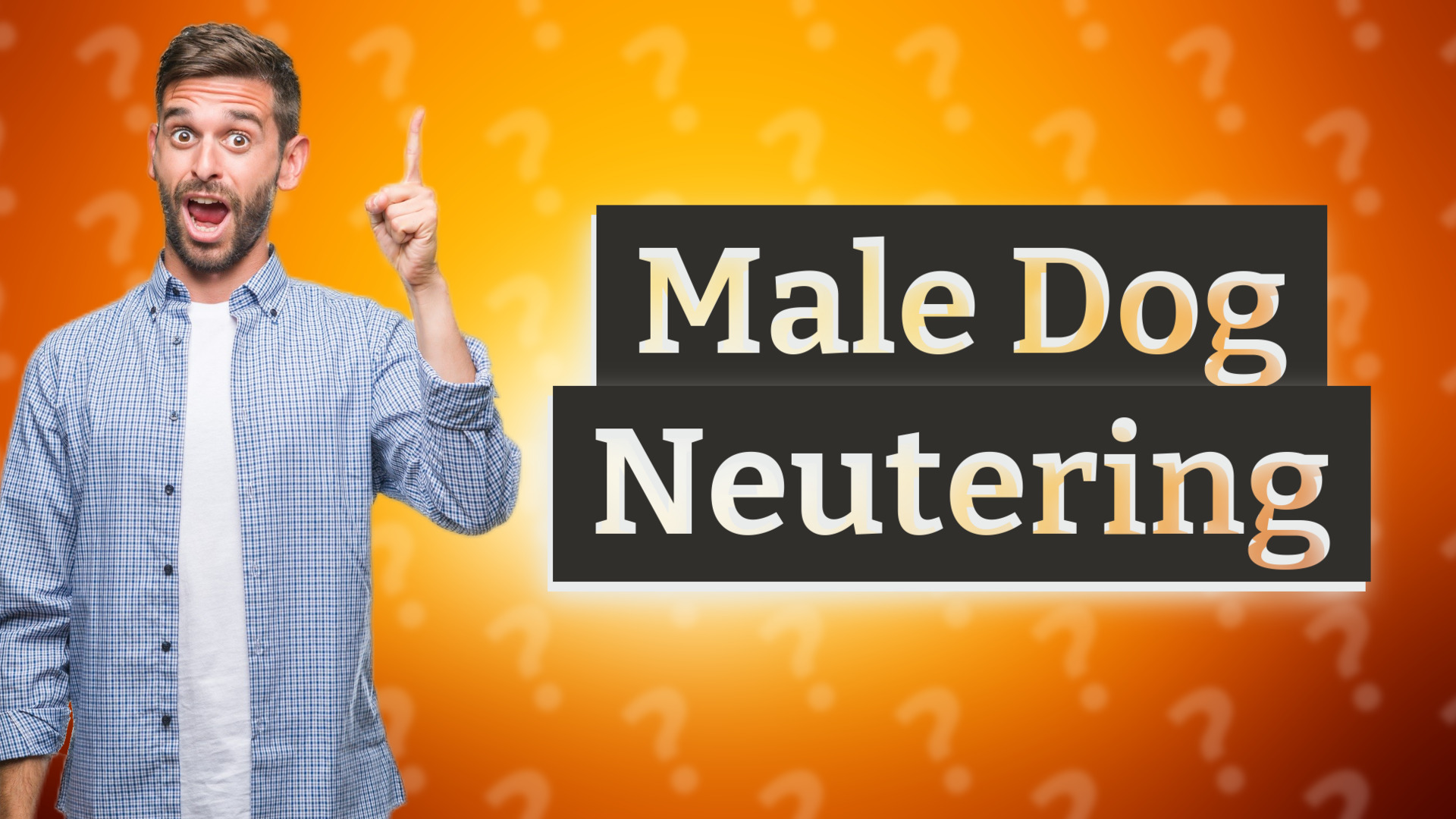 Male Dog Neutering