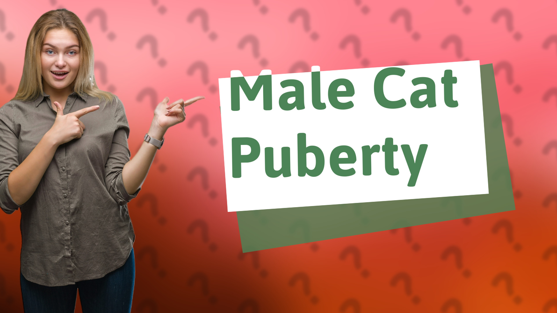 Male Cat Puberty