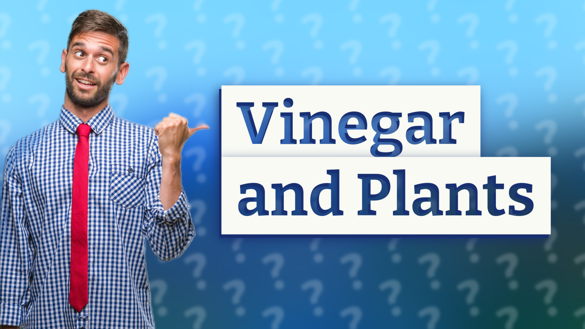 Vinegar and Plants