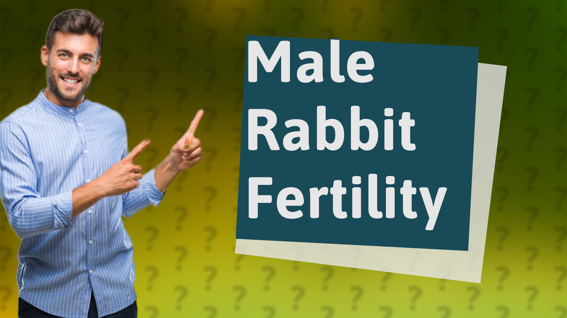 Male Rabbit Fertility
