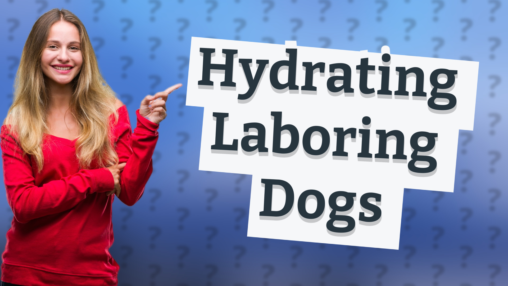 Hydrating Laboring Dogs