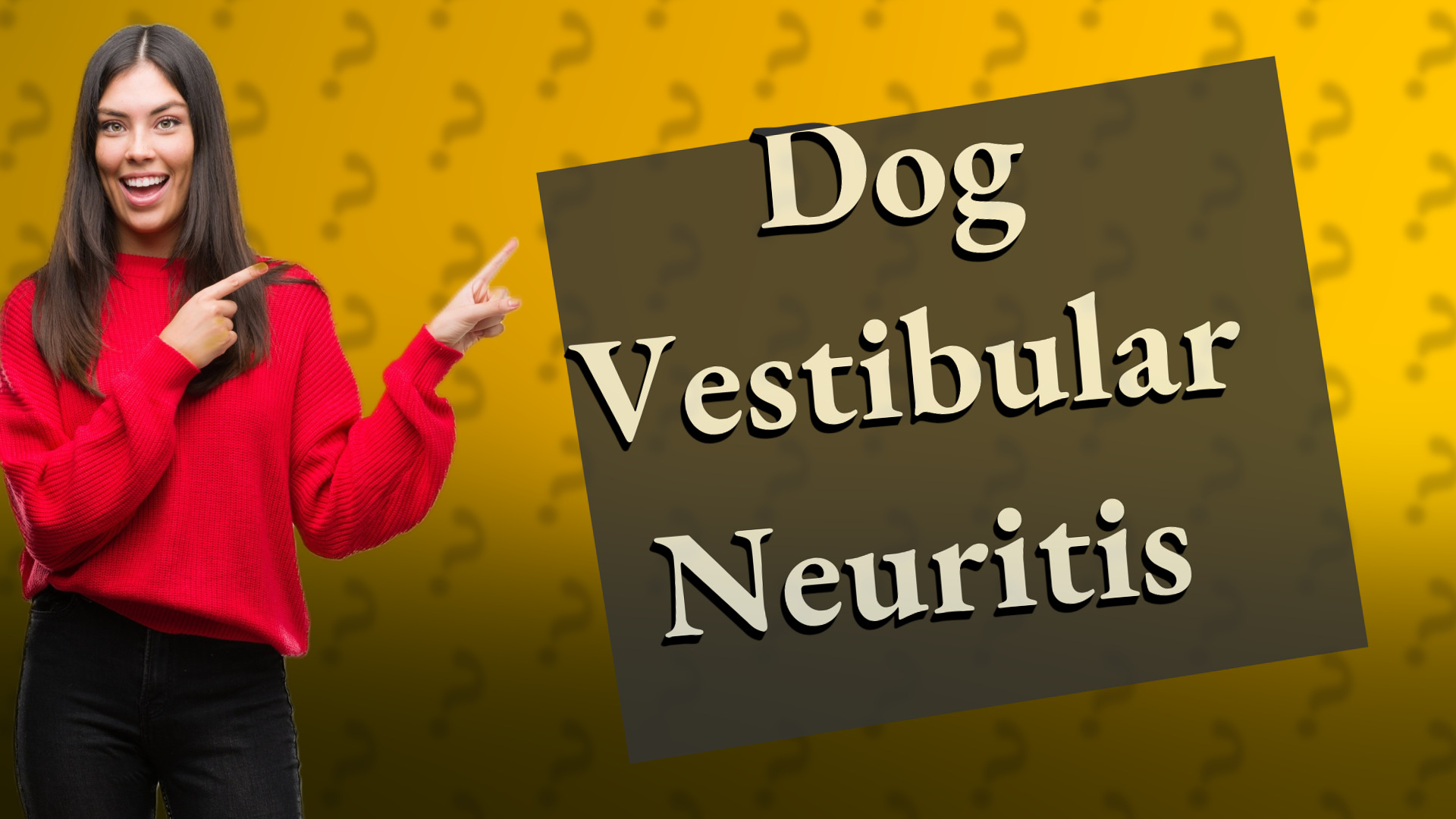 Dog Vestibular Neuritis