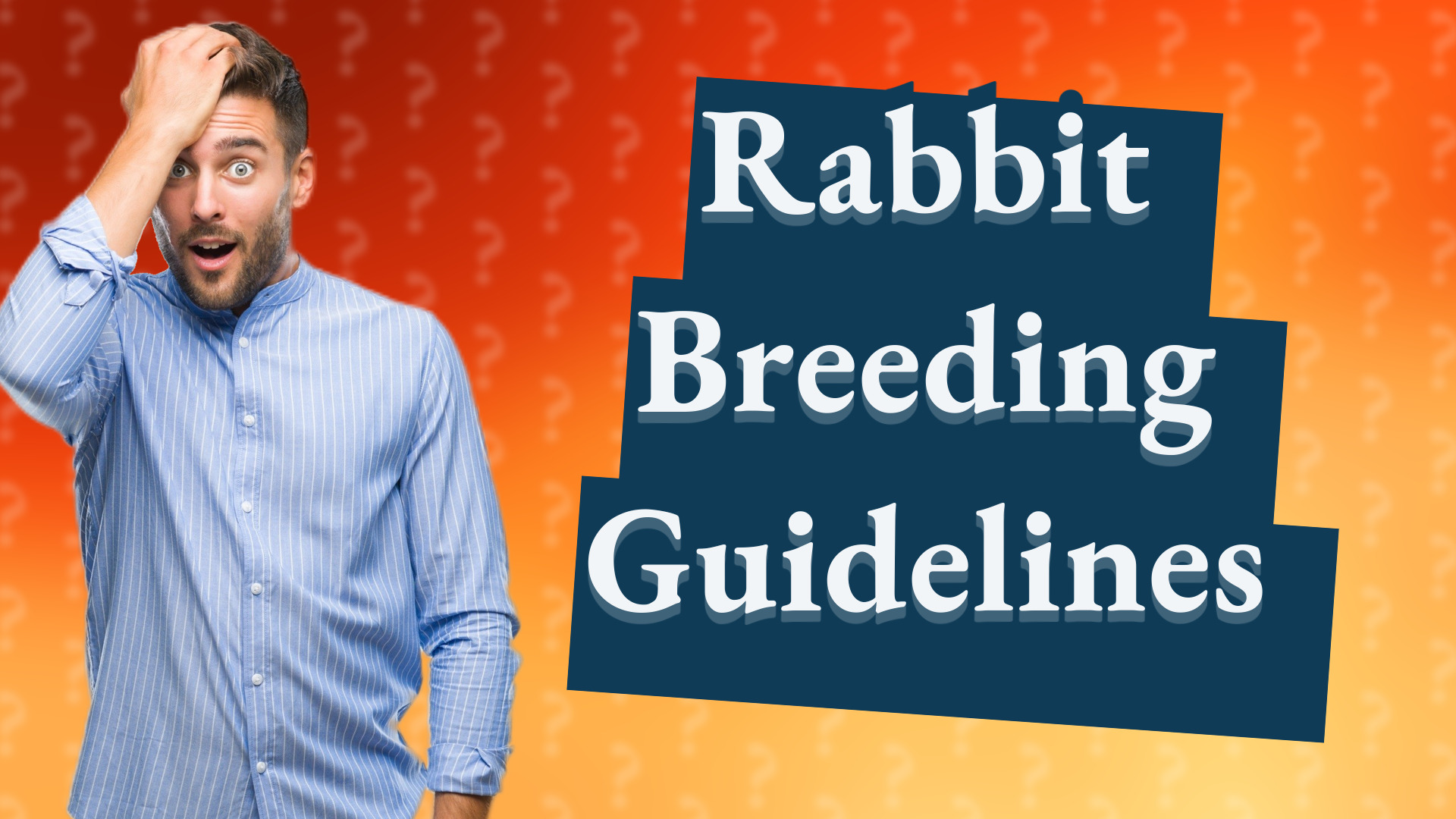 Rabbit Breeding Guidelines