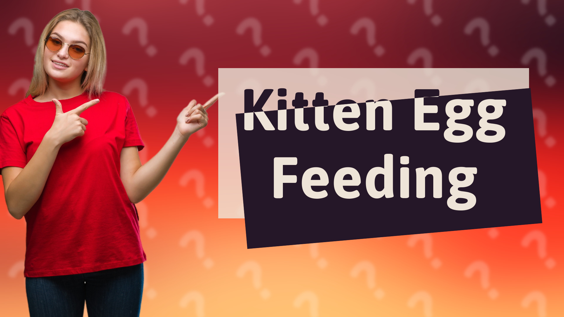 Kitten Egg Feeding