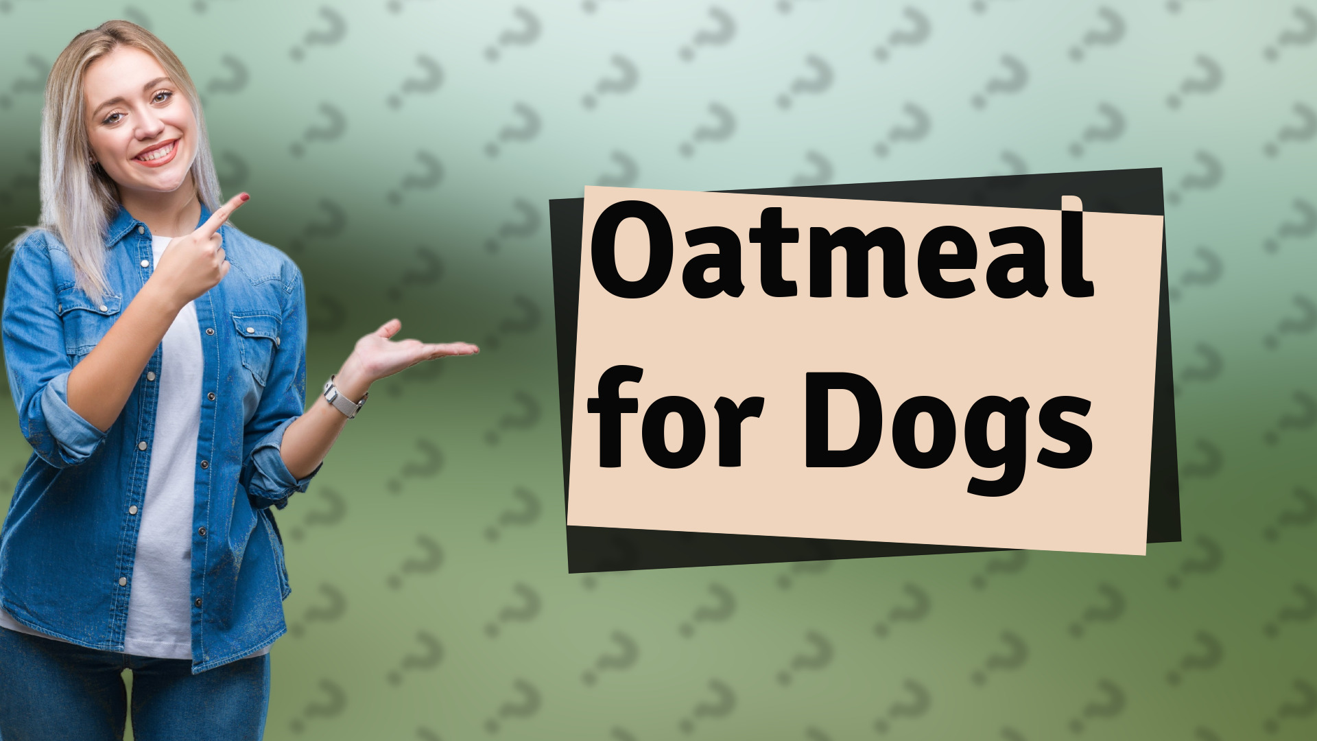 Oatmeal for Dogs
