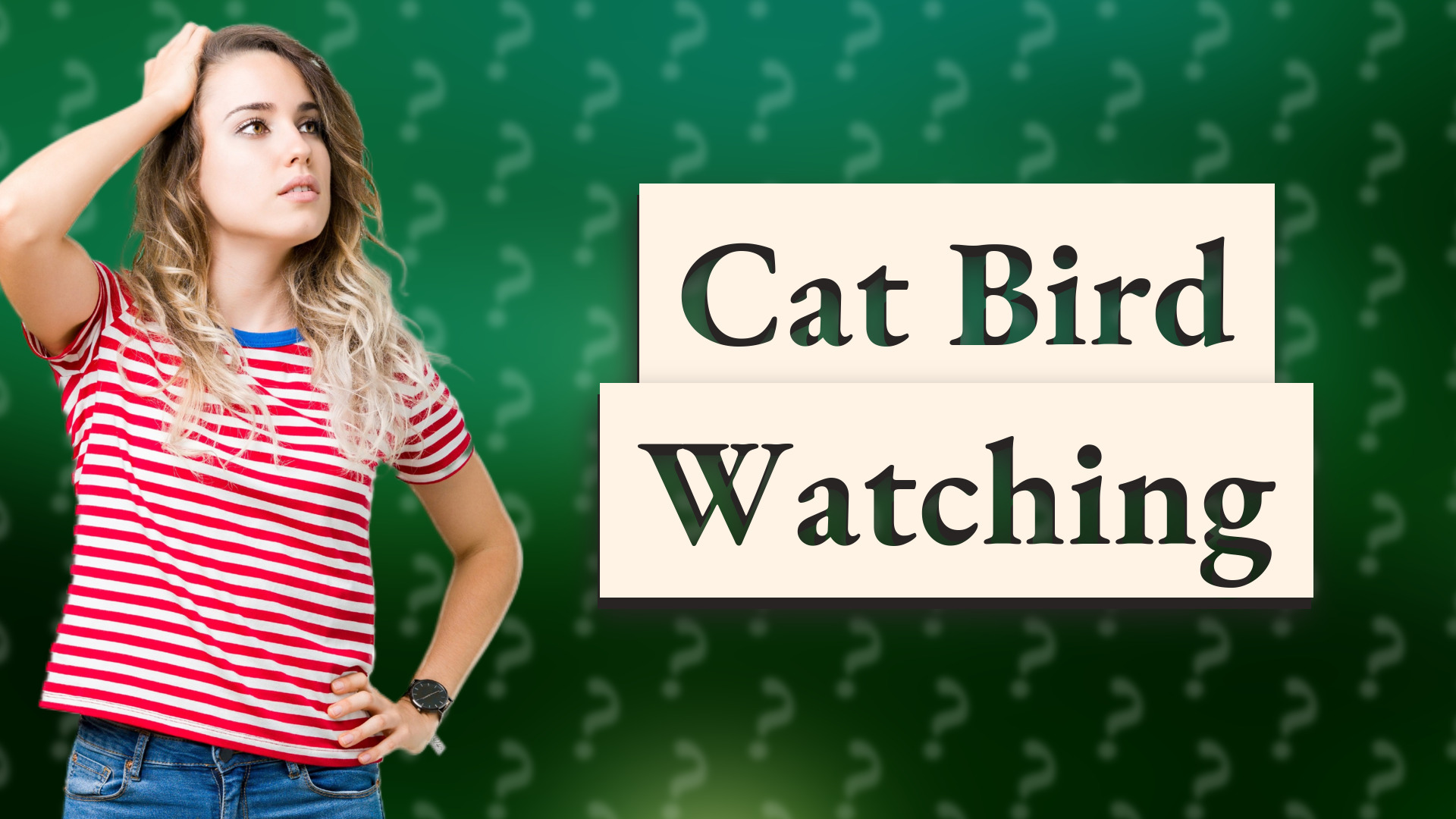 Cat Bird Watching