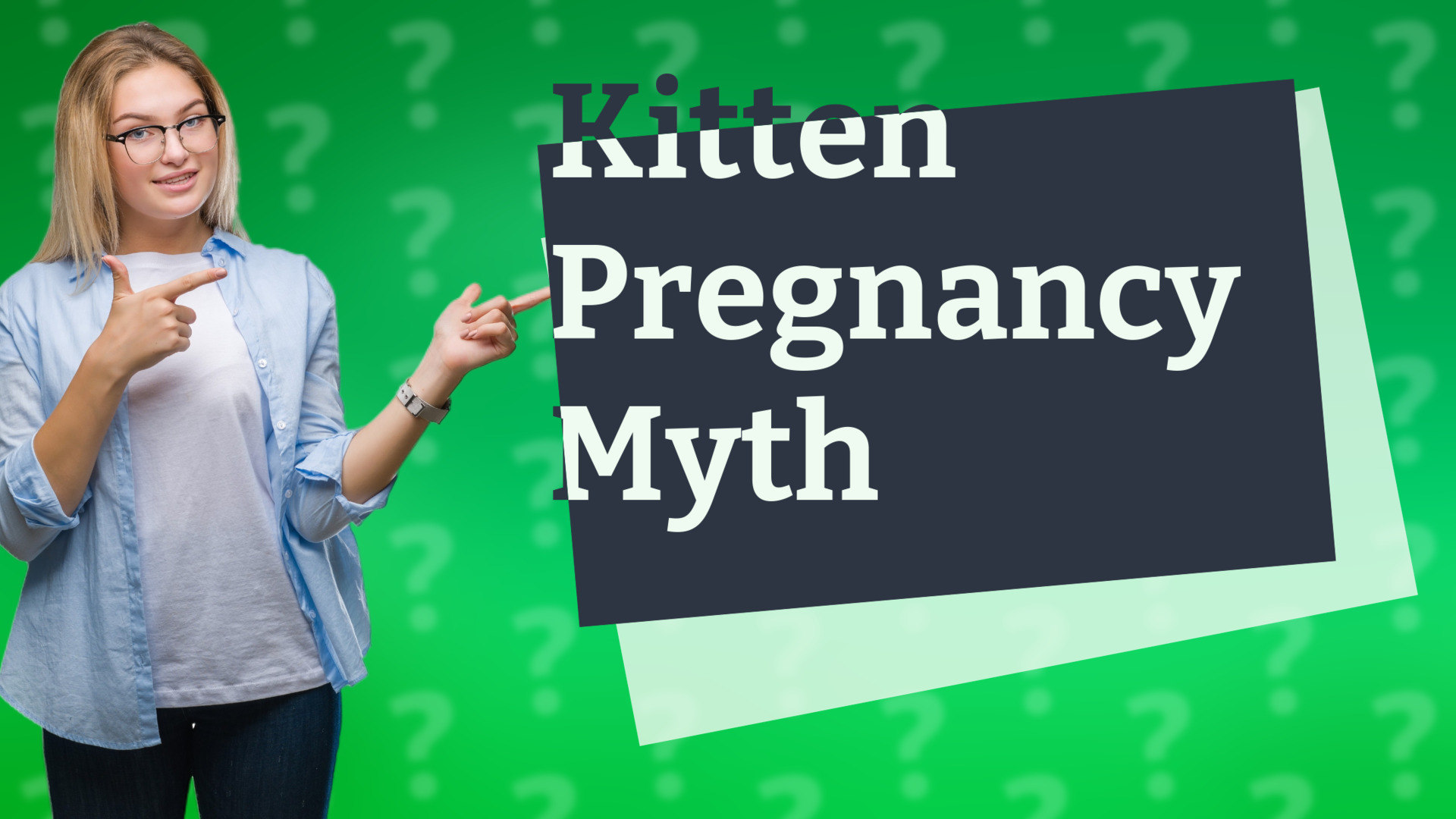 Kitten Pregnancy Myth