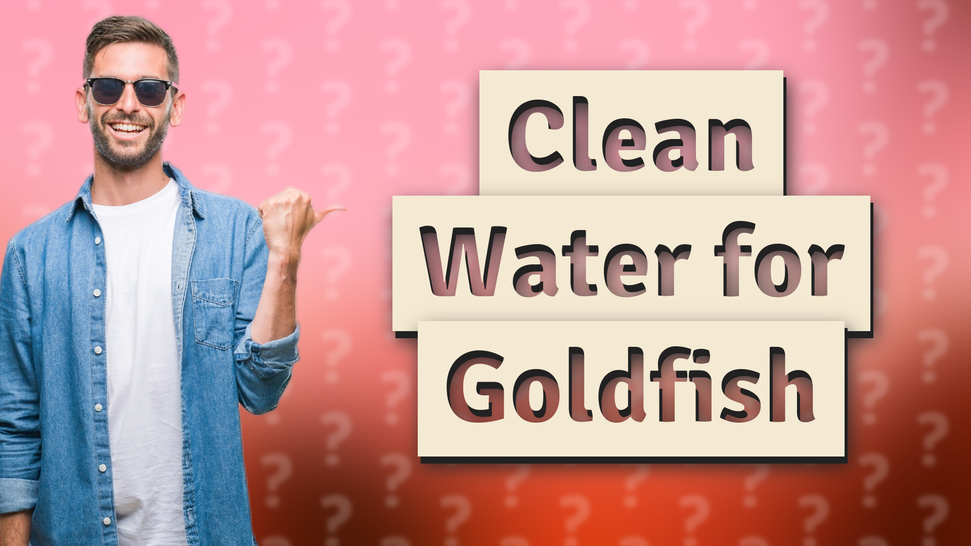 Clean Water for Goldfish