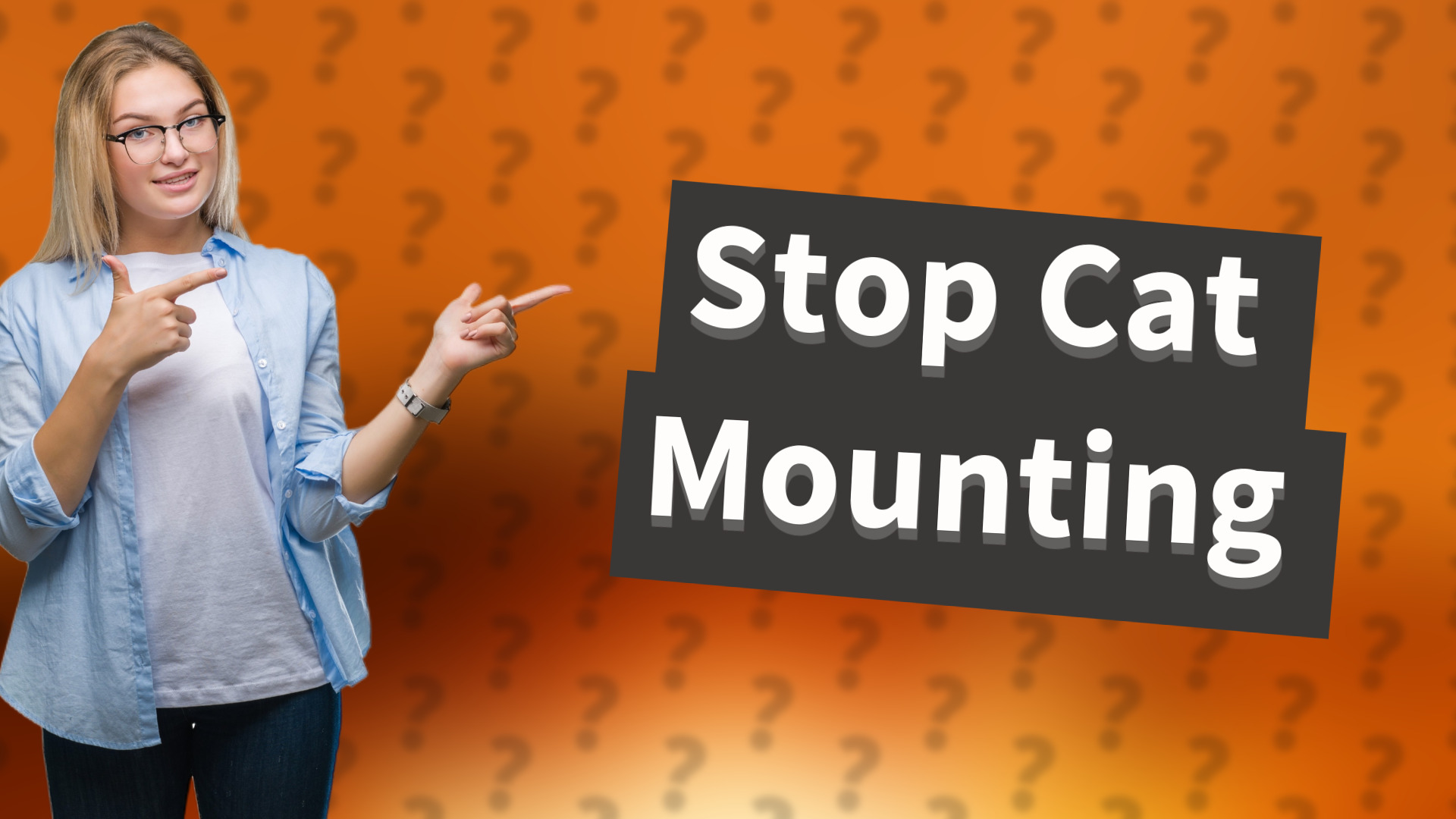 Stop Cat Mounting