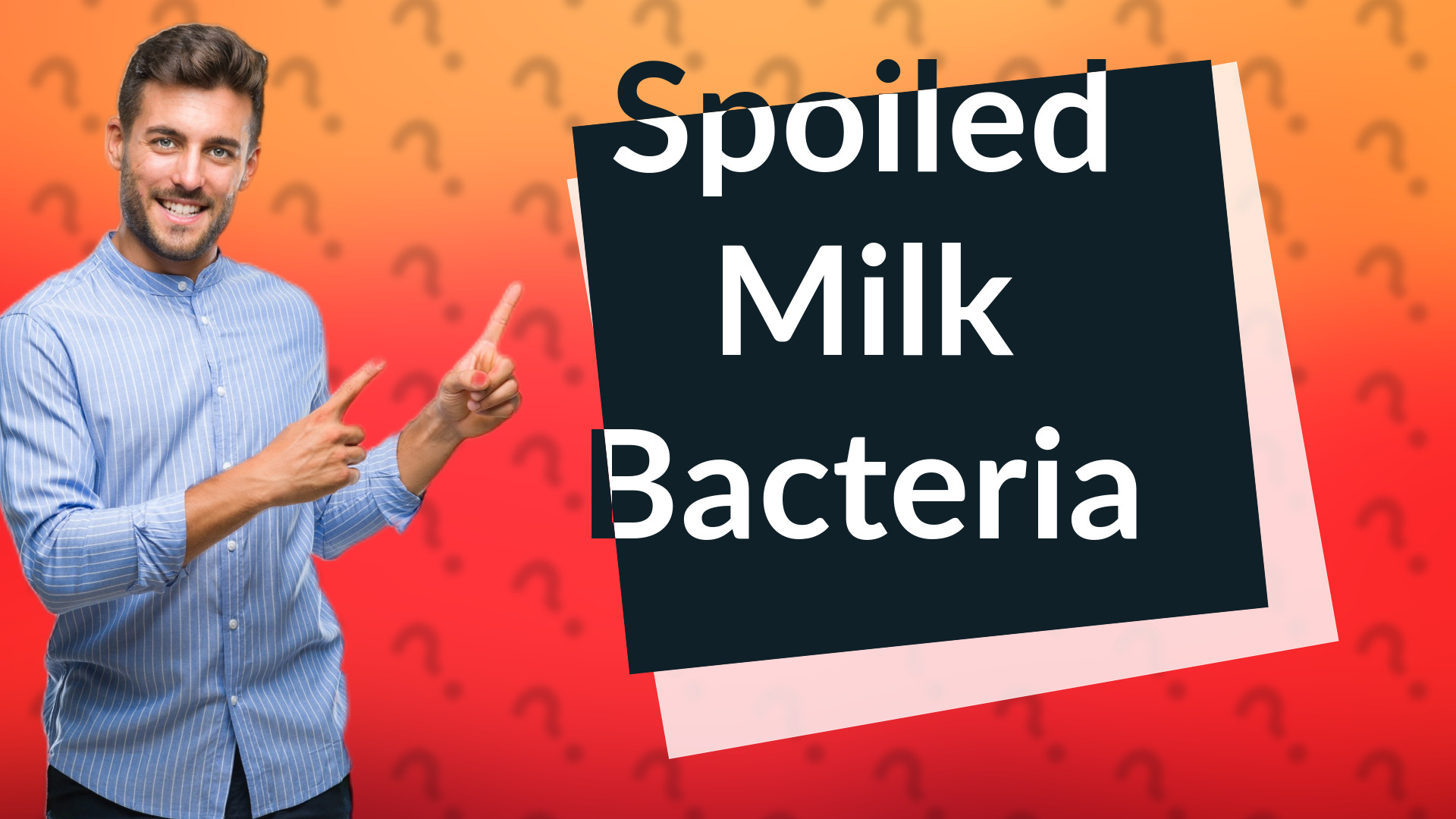 Spoiled Milk Bacteria