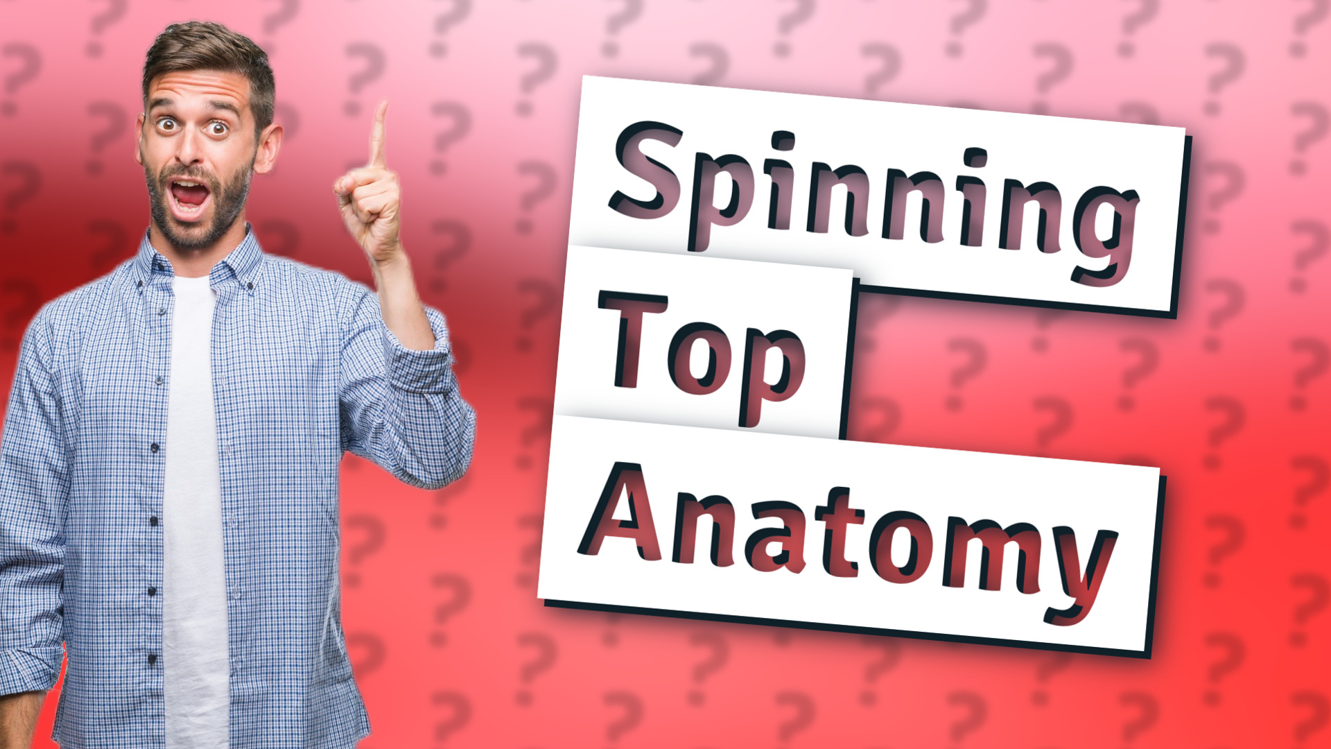 Spinning Top Anatomy
