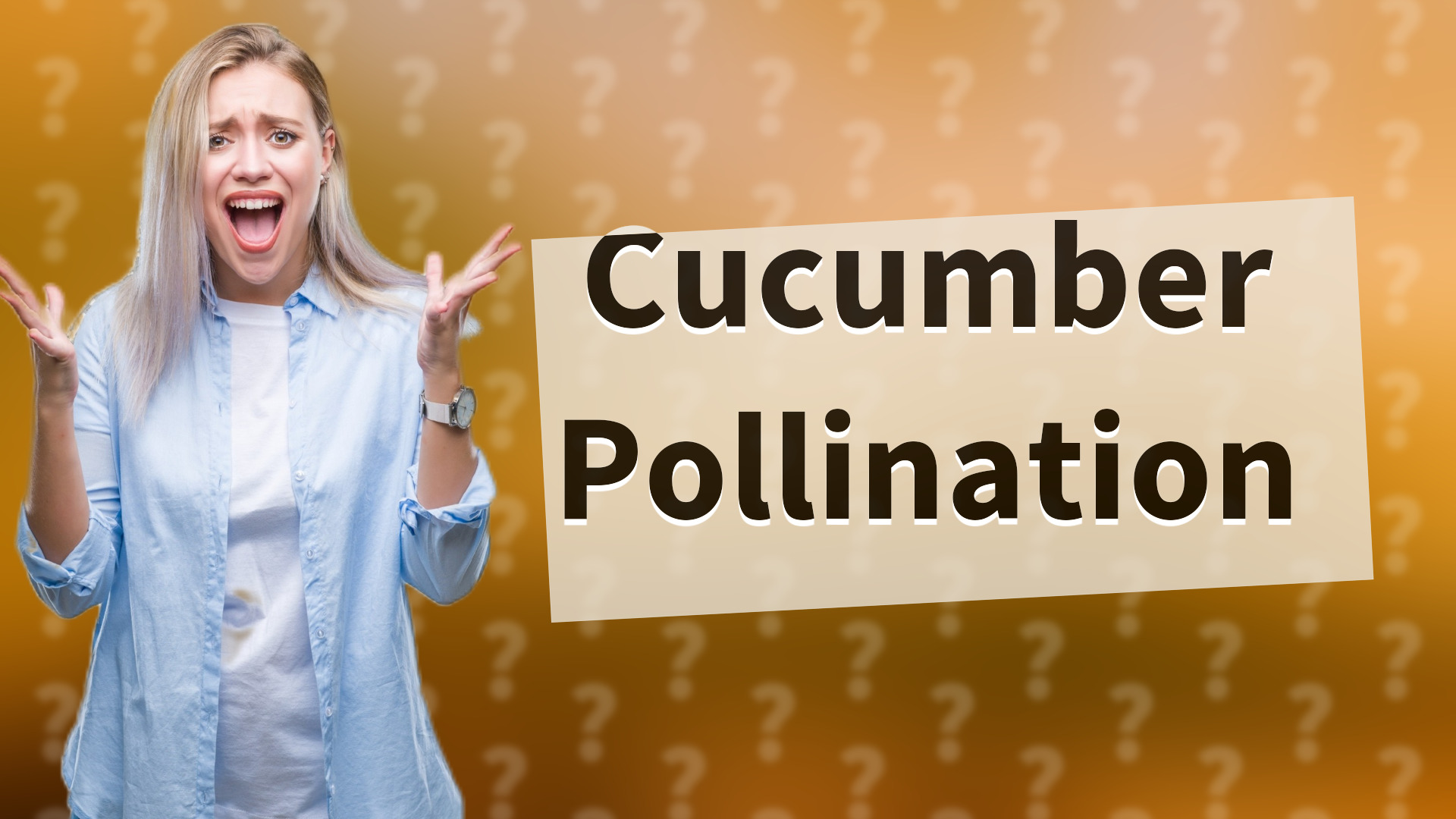 Cucumber Pollination