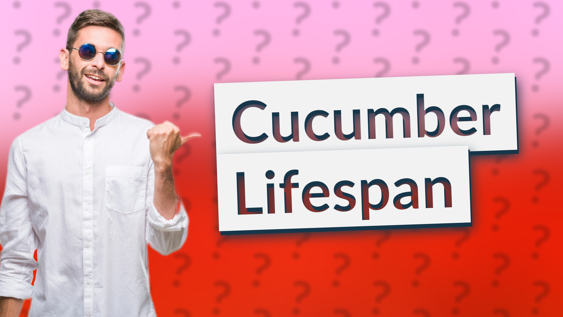 Cucumber Lifespan