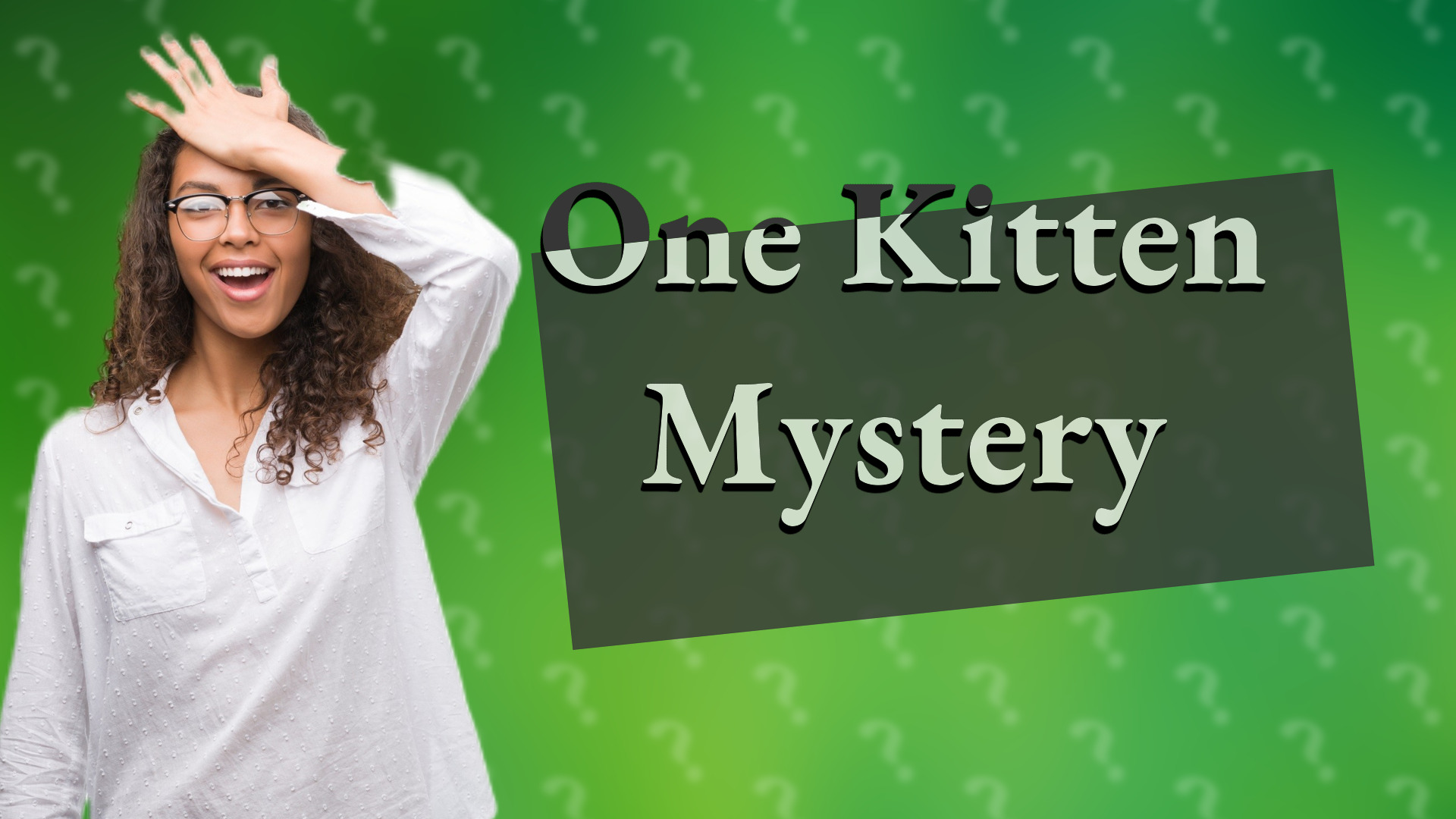 One Kitten Mystery