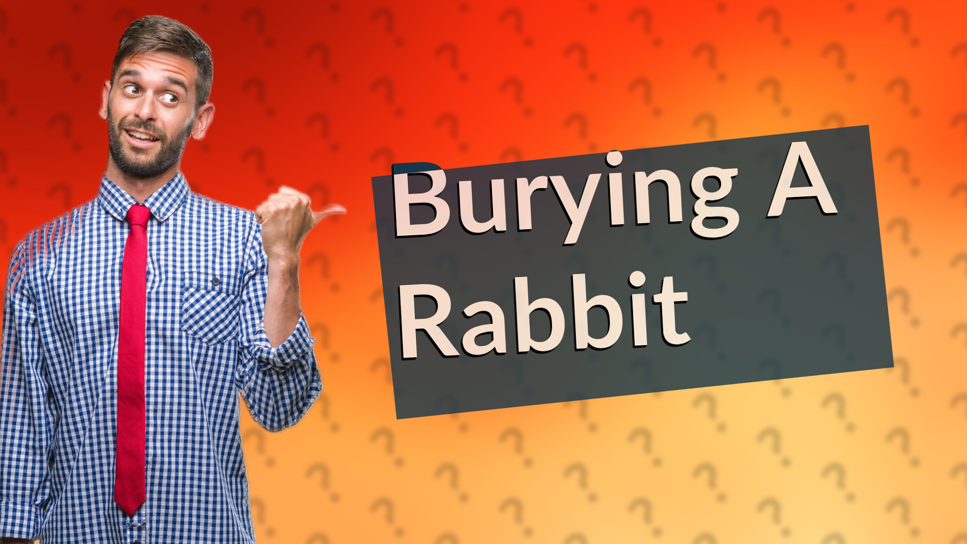 Burying A Rabbit