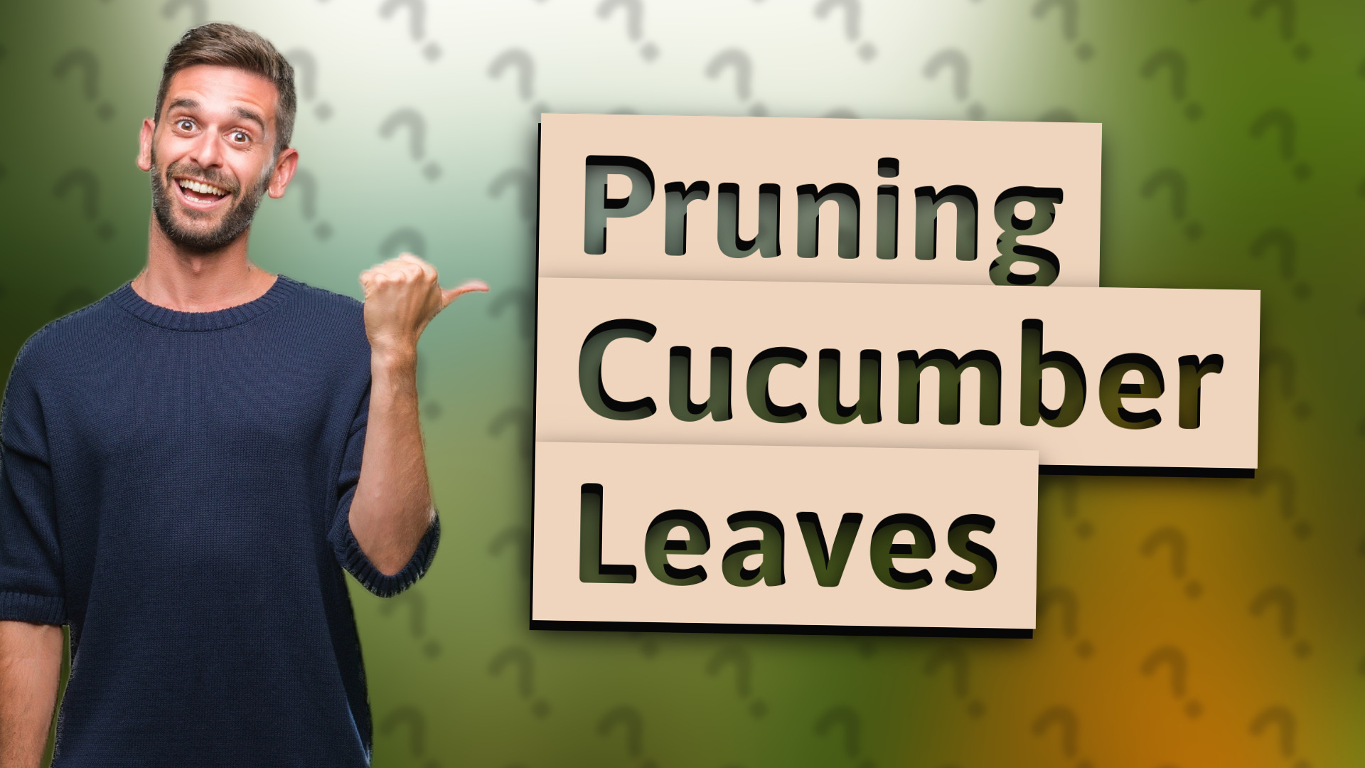 Pruning Cucumber Leaves