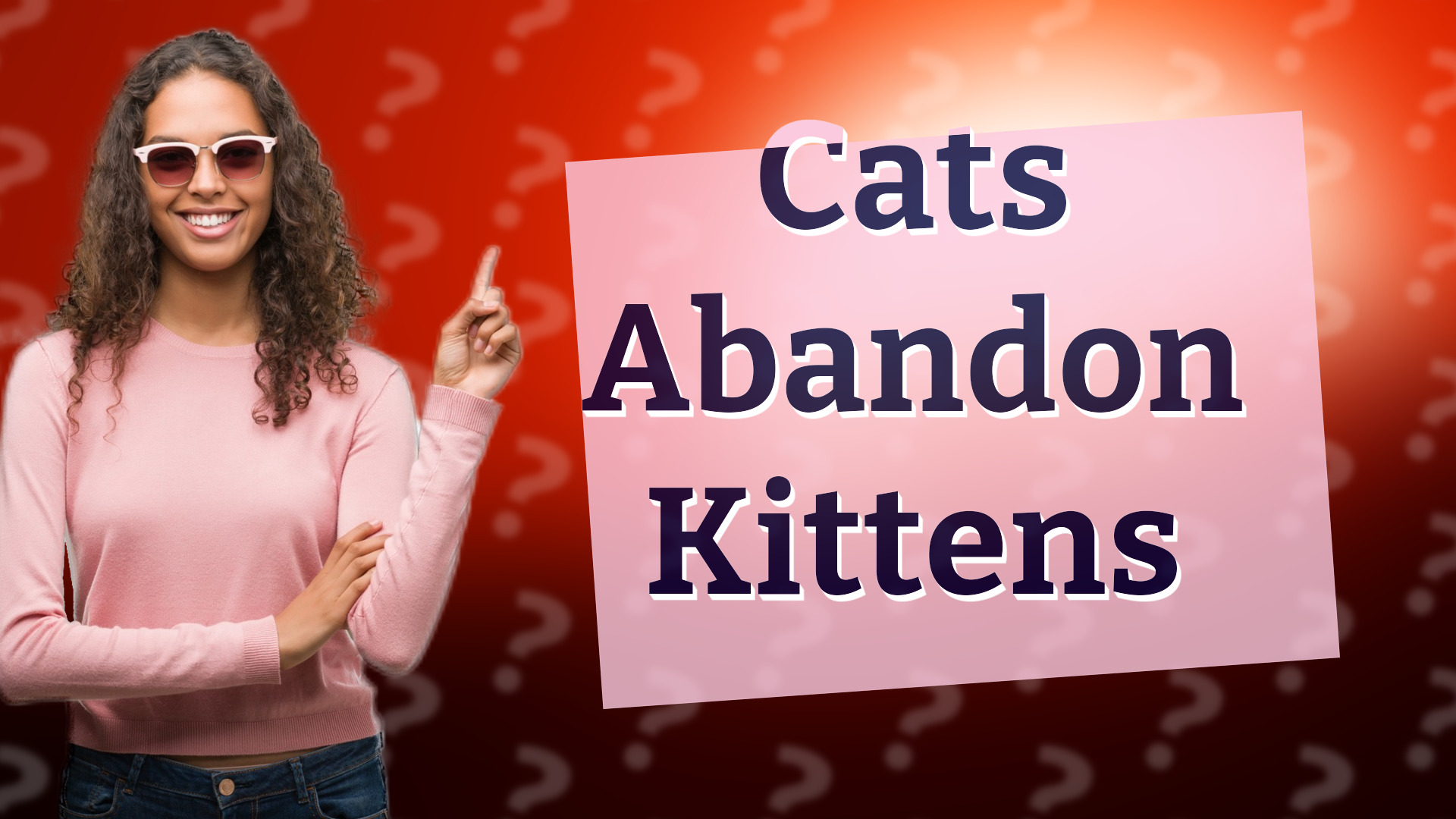 Cats Abandon Kittens