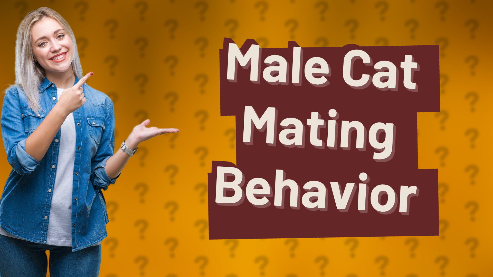 Male Cat Mating Behavior