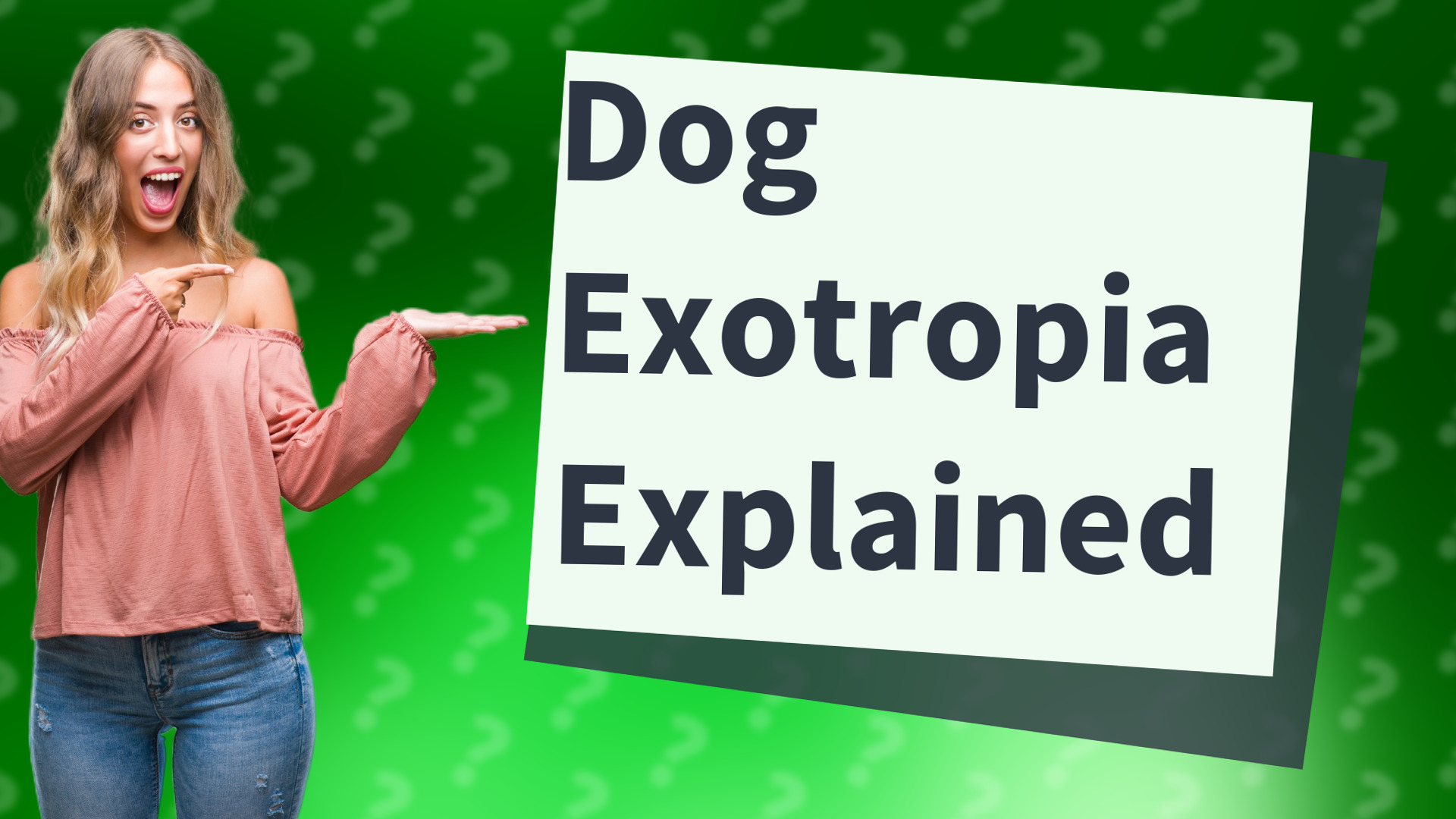 Dog Exotropia Explained