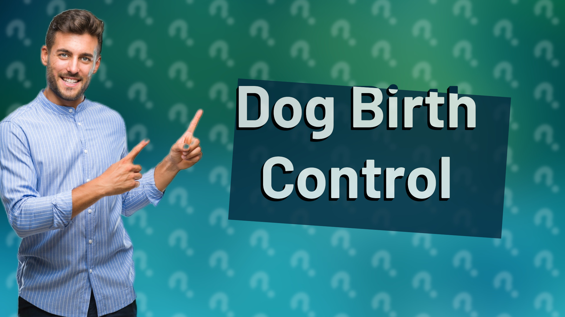 Dog Birth Control