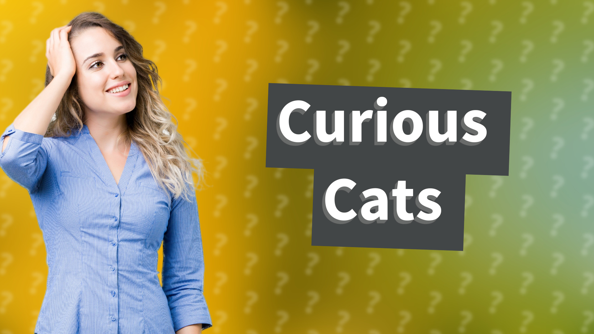 Curious Cats