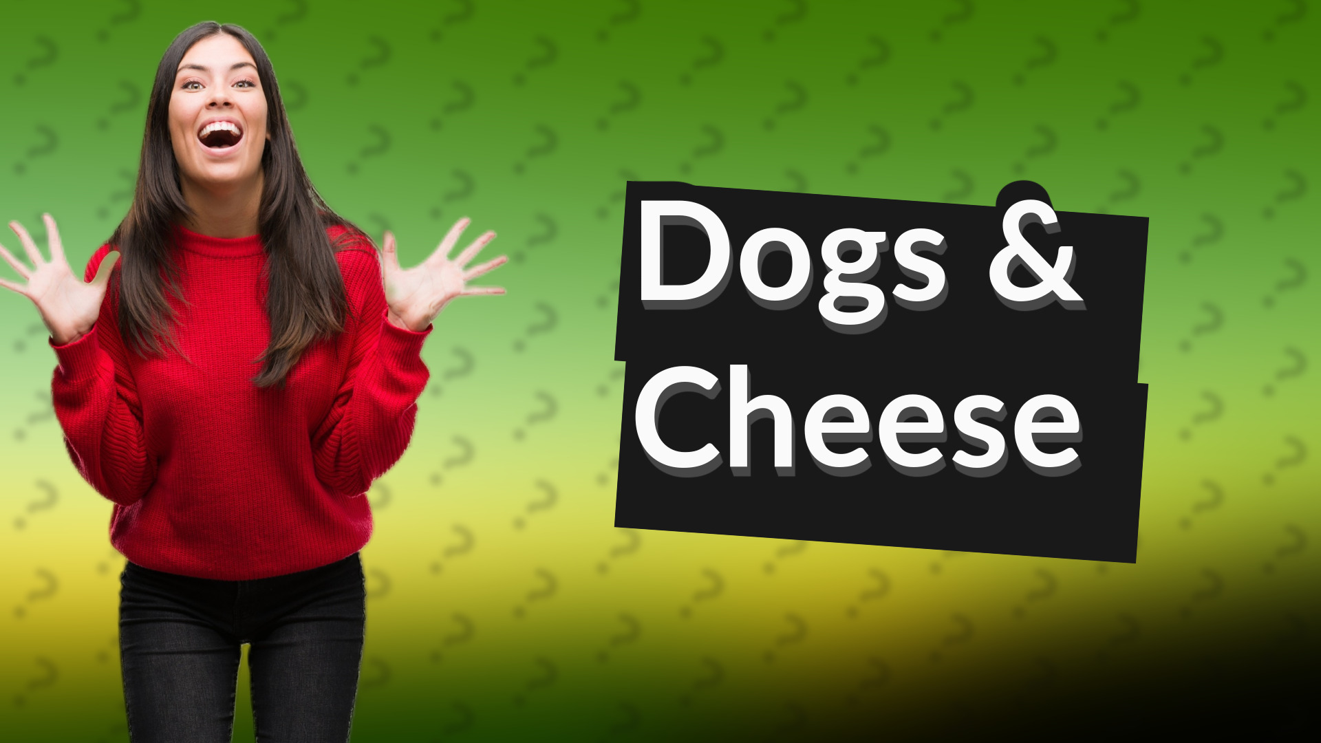 Dogs & Cheese