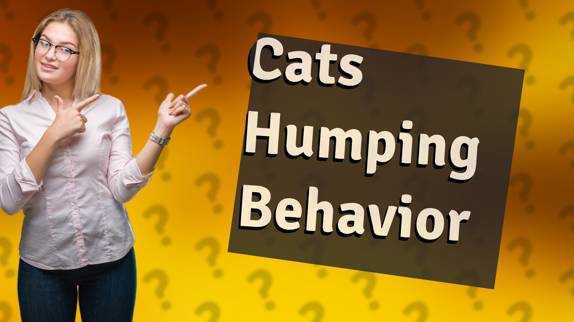 Cats Humping Behavior