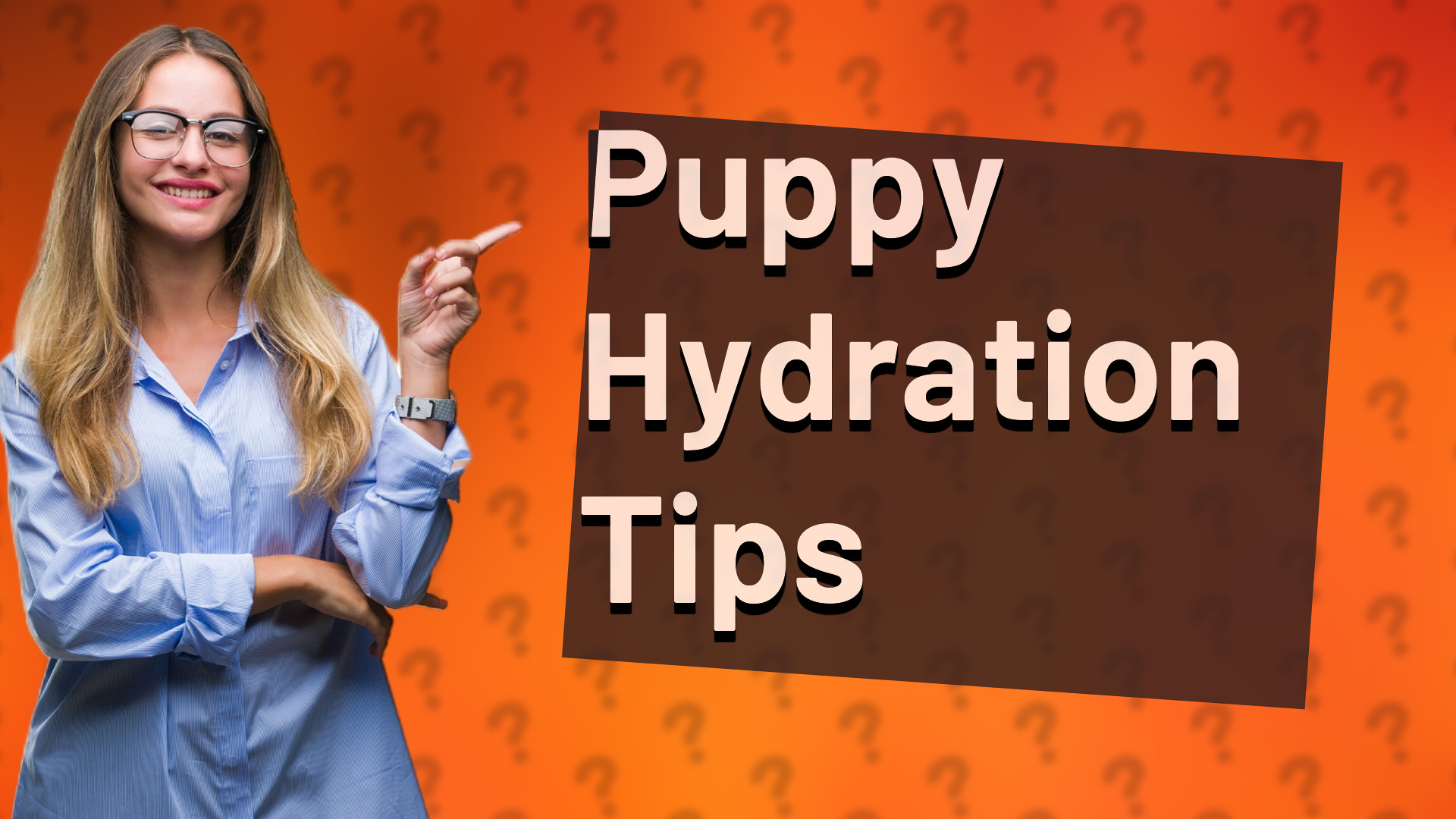 Puppy Hydration Tips
