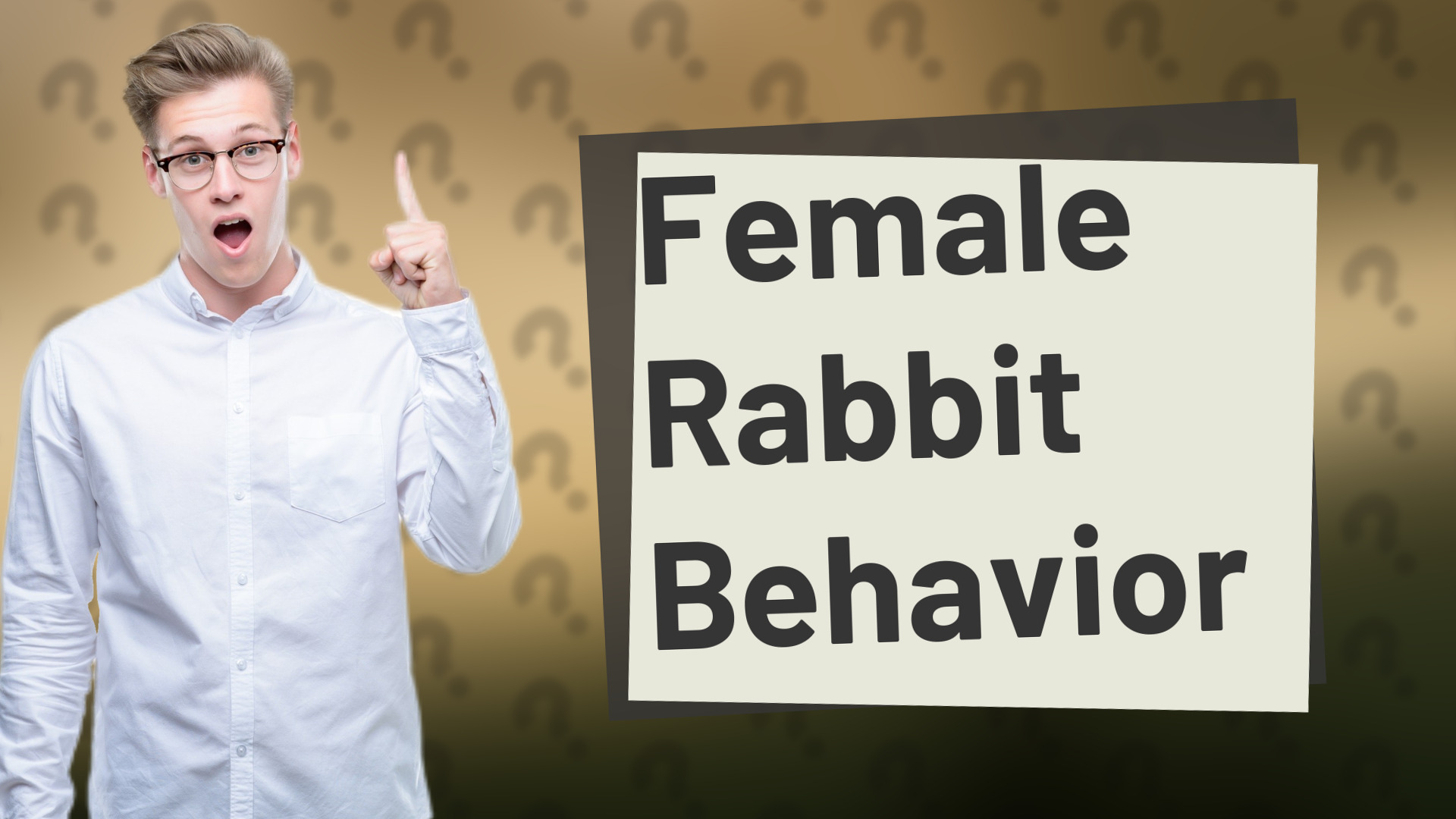 Female Rabbit Behavior