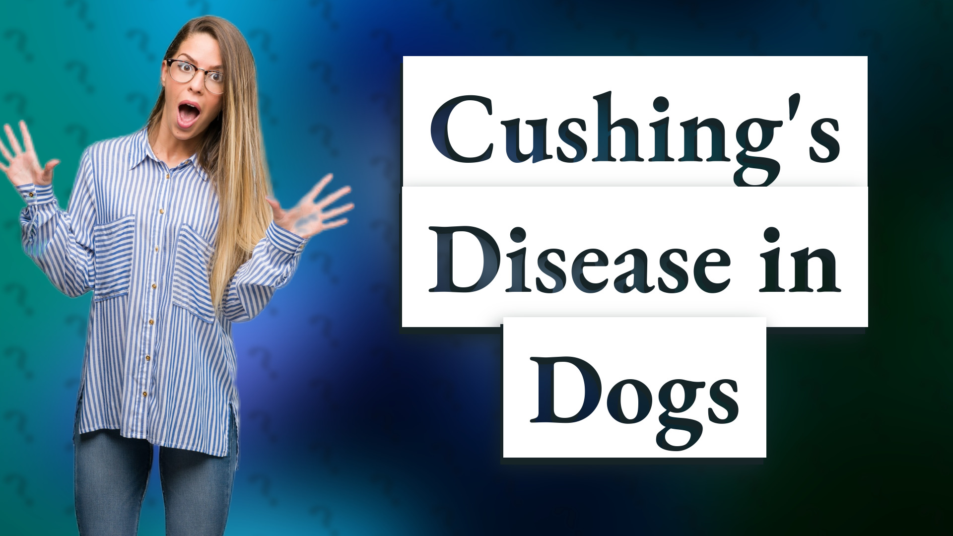 Cushing's Disease in Dogs