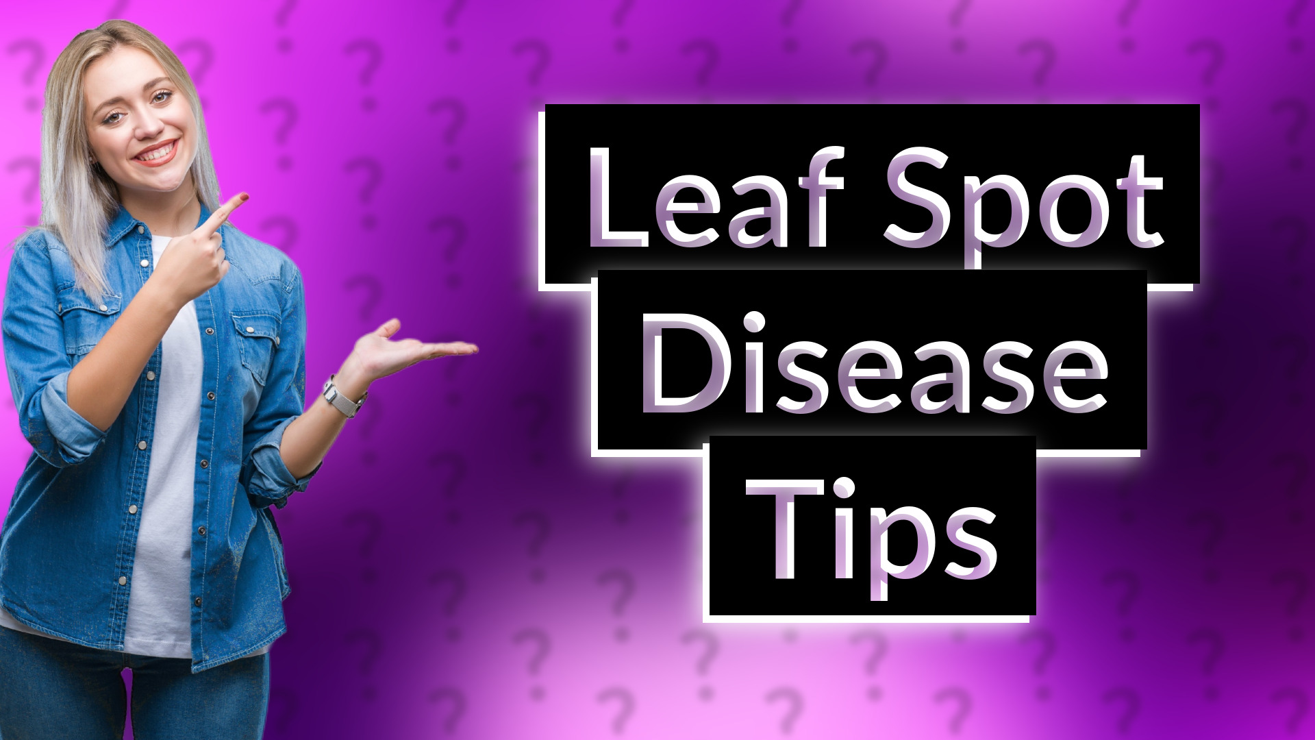 Leaf Spot Disease Tips