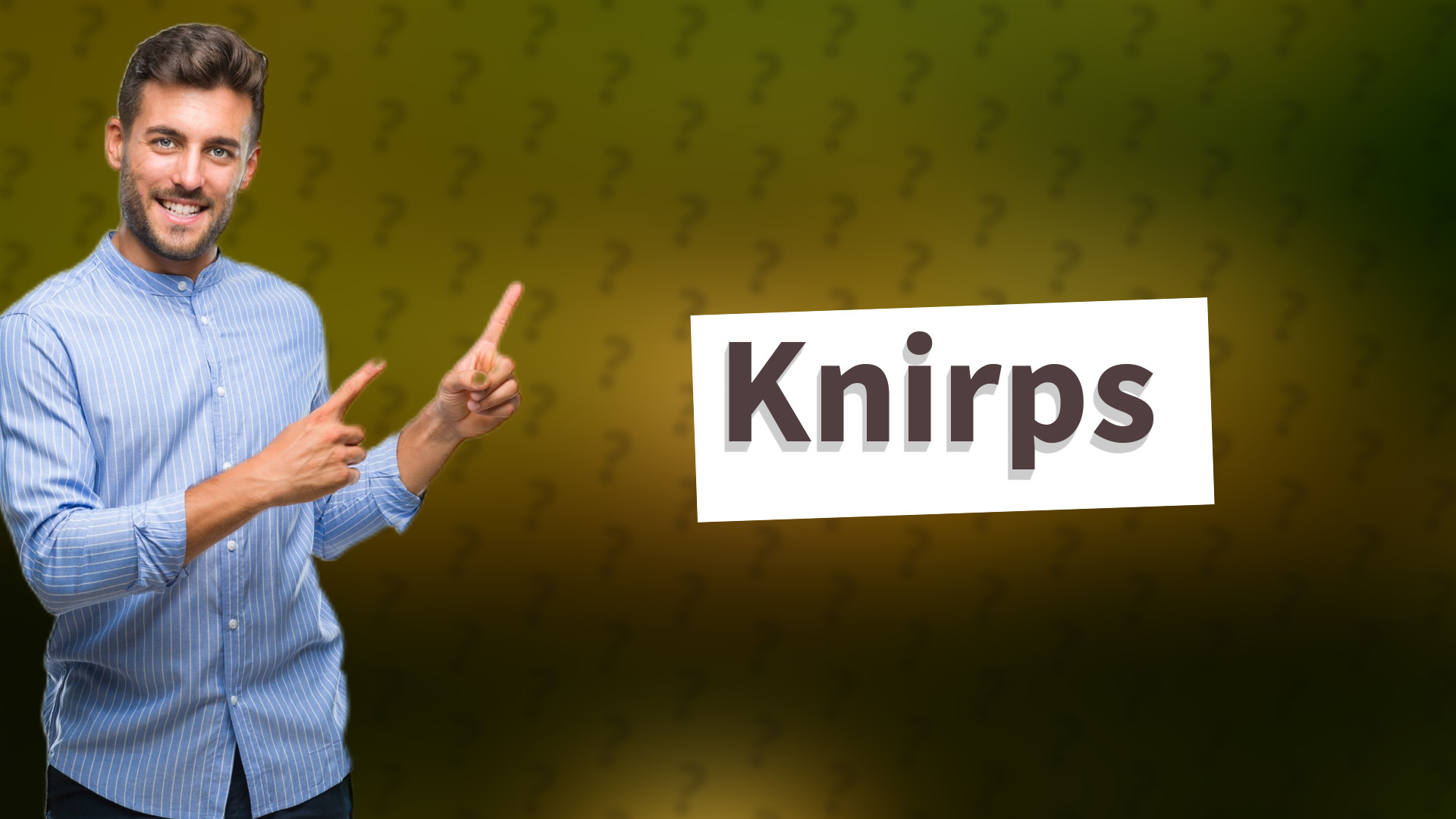Knirps