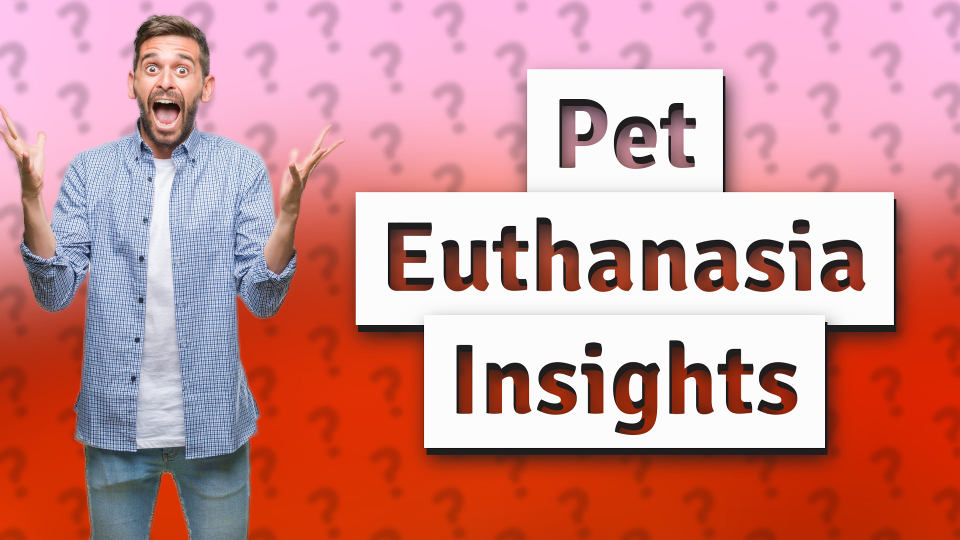 Pet Euthanasia Insights